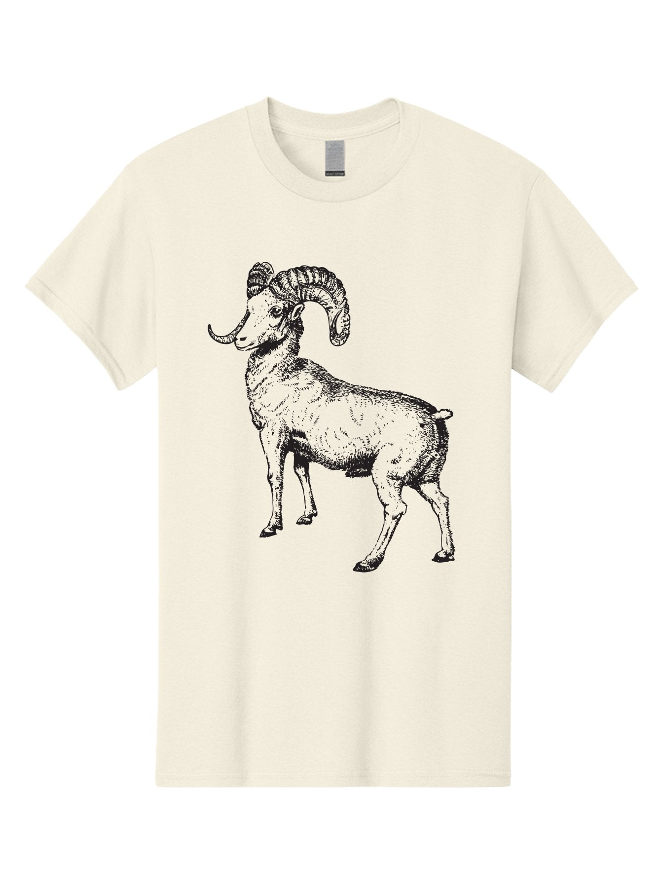 Ram Men'S Graphic Tee, 100% Cotton, Comfortable Casual Summer Wear, Machine Washable, Large Ram, Curved Horns, Wild Animal, Livestock, Farm Animal, Strong, Majestic, Nature, Wildlife, Outdoors, Rugged Aad934 9