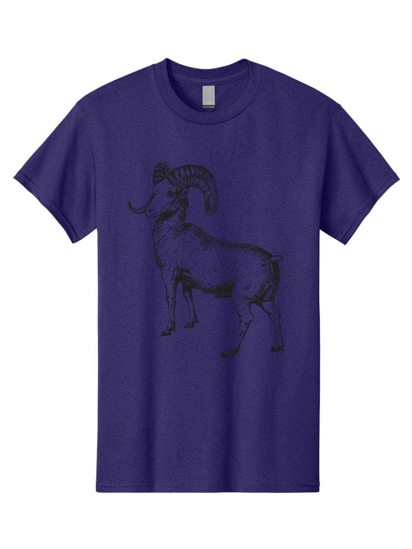 Ram Men'S Graphic Tee, 100% Cotton, Comfortable Casual Summer Wear, Machine Washable, Large Ram, Curved Horns, Wild Animal, Livestock, Farm Animal, Strong, Majestic, Nature, Wildlife, Outdoors, Rugged Aad934 14