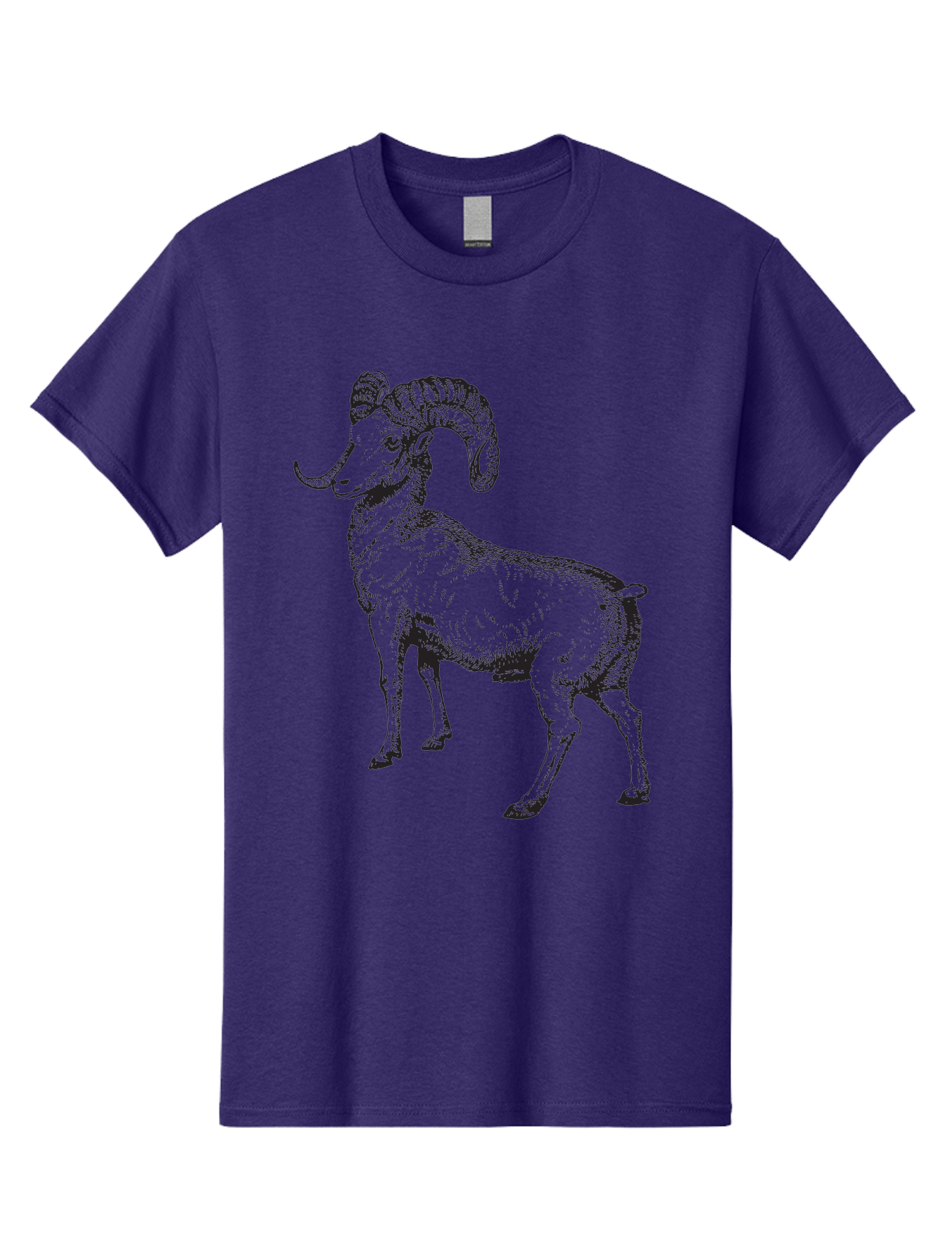 Ram Men'S Graphic Tee, 100% Cotton, Comfortable Casual Summer Wear, Machine Washable, Large Ram, Curved Horns, Wild Animal, Livestock, Farm Animal, Strong, Majestic, Nature, Wildlife, Outdoors, Rugged Aad934 3