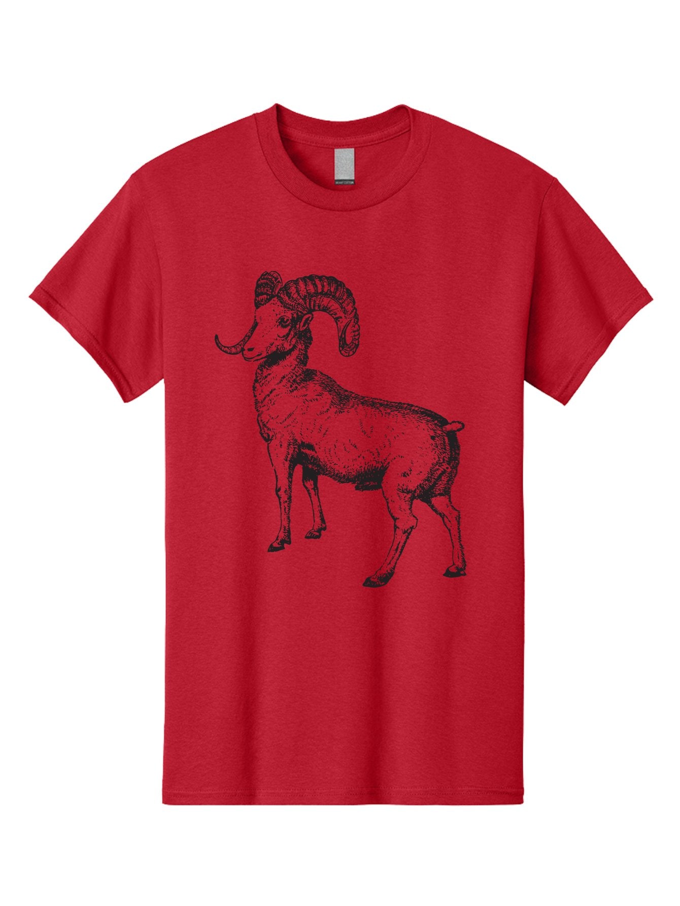 Ram Men'S Graphic Tee, 100% Cotton, Comfortable Casual Summer Wear, Machine Washable, Large Ram, Curved Horns, Wild Animal, Livestock, Farm Animal, Strong, Majestic, Nature, Wildlife, Outdoors, Rugged Aad934