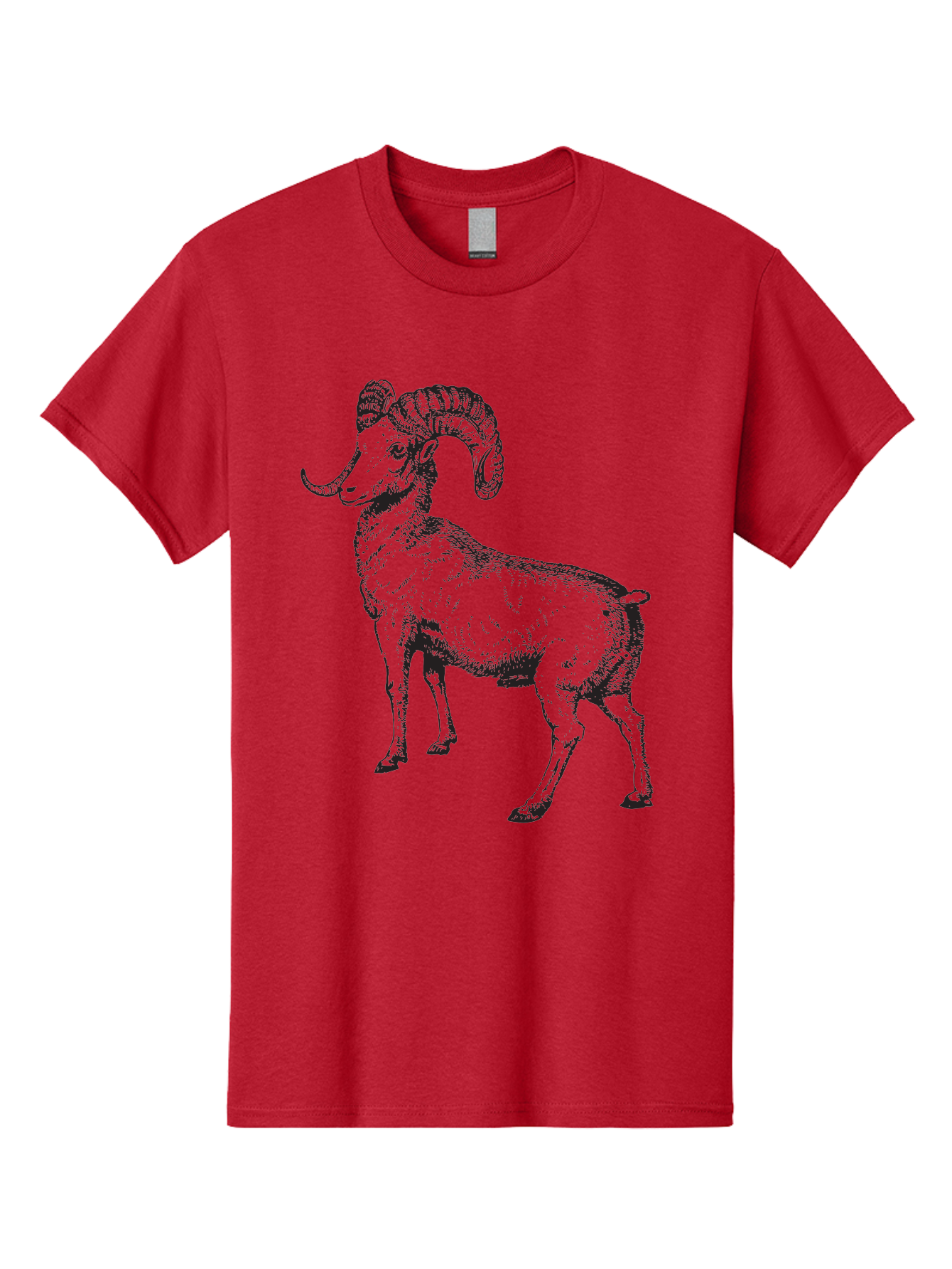 Ram Men'S Graphic Tee, 100% Cotton, Comfortable Casual Summer Wear, Machine Washable, Large Ram, Curved Horns, Wild Animal, Livestock, Farm Animal, Strong, Majestic, Nature, Wildlife, Outdoors, Rugged Aad934 19