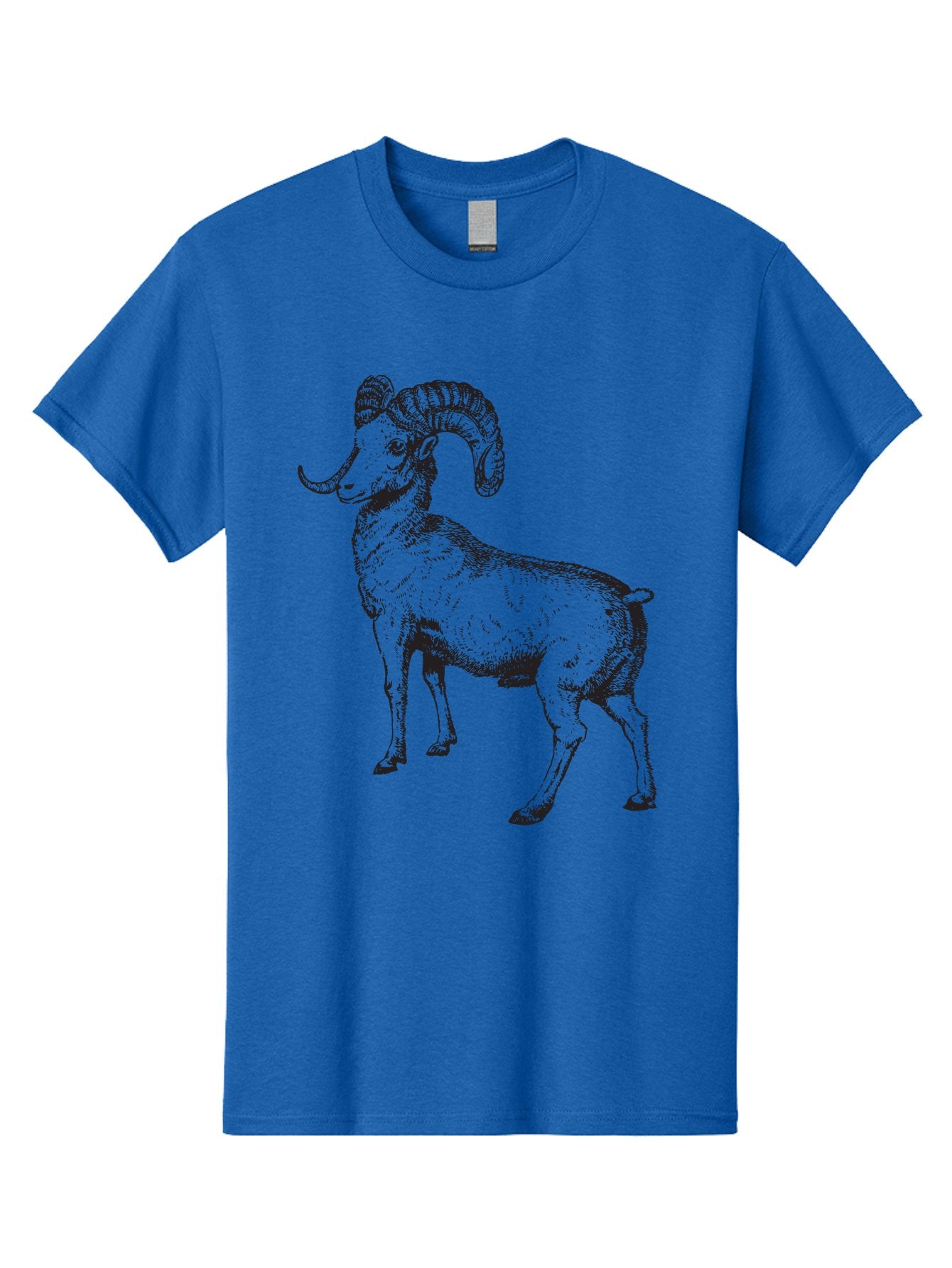 Ram Men'S Graphic Tee, 100% Cotton, Comfortable Casual Summer Wear, Machine Washable, Large Ram, Curved Horns, Wild Animal, Livestock, Farm Animal, Strong, Majestic, Nature, Wildlife, Outdoors, Rugged Aad934 15