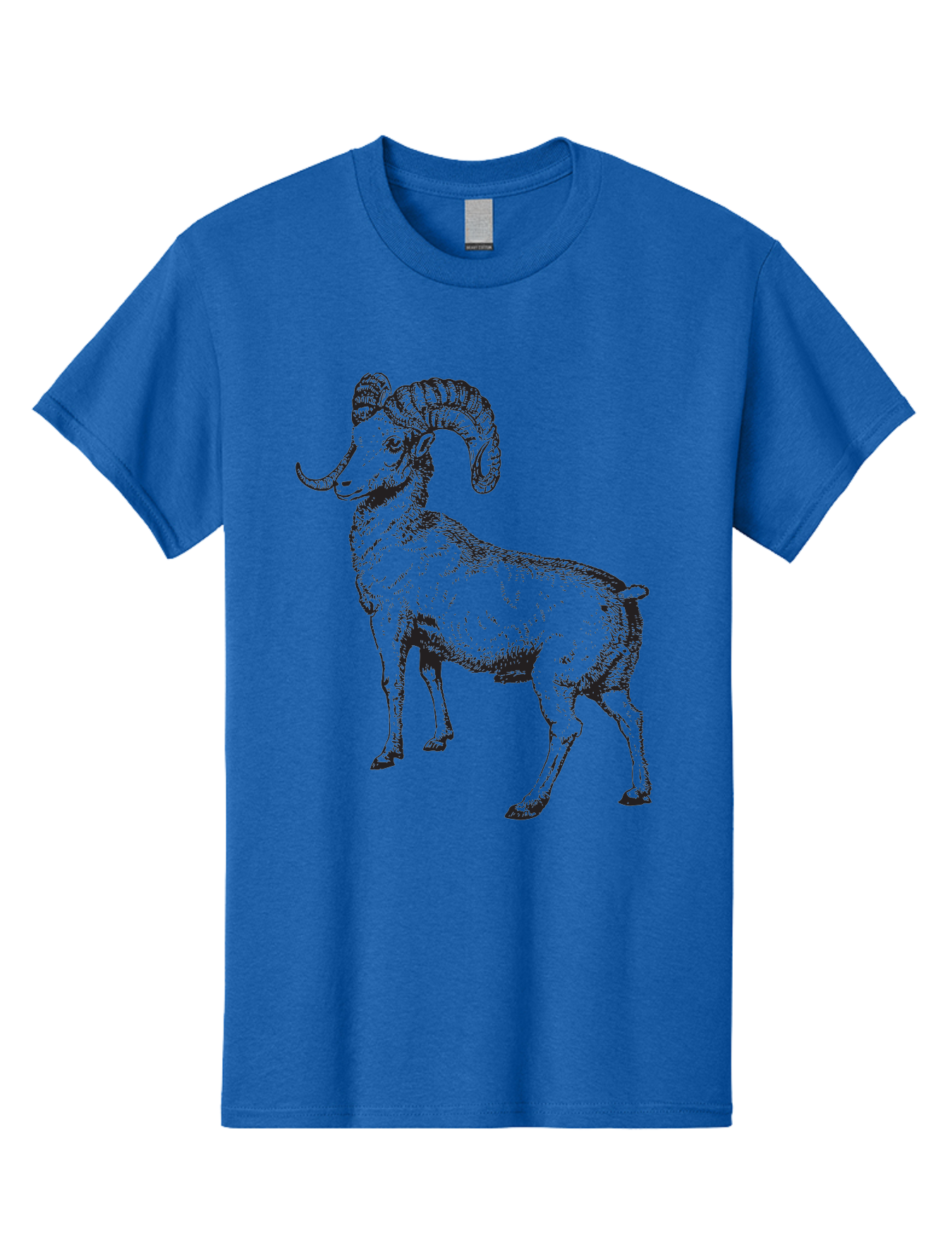 Ram Men'S Graphic Tee, 100% Cotton, Comfortable Casual Summer Wear, Machine Washable, Large Ram, Curved Horns, Wild Animal, Livestock, Farm Animal, Strong, Majestic, Nature, Wildlife, Outdoors, Rugged Aad934