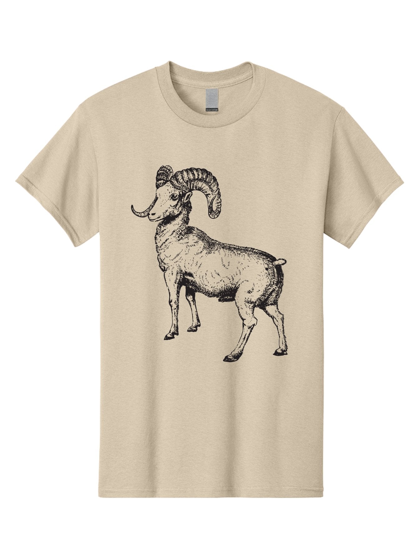 Ram Men'S Graphic Tee, 100% Cotton, Comfortable Casual Summer Wear, Machine Washable, Large Ram, Curved Horns, Wild Animal, Livestock, Farm Animal, Strong, Majestic, Nature, Wildlife, Outdoors, Rugged Aad934 12