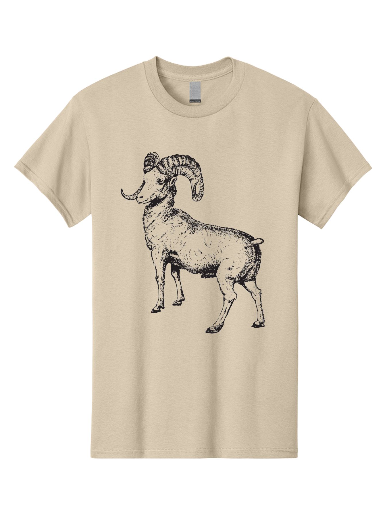 Ram Men'S Graphic Tee, 100% Cotton, Comfortable Casual Summer Wear, Machine Washable, Large Ram, Curved Horns, Wild Animal, Livestock, Farm Animal, Strong, Majestic, Nature, Wildlife, Outdoors, Rugged Aad934 5