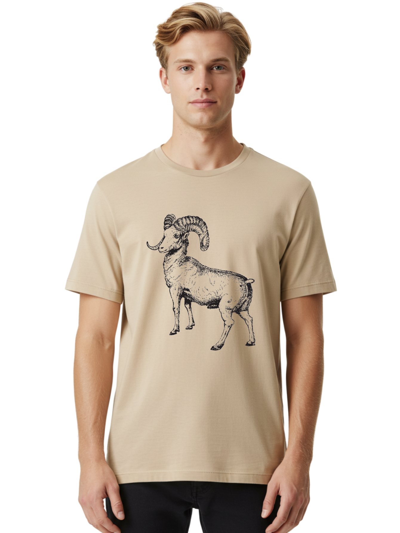 Ram Men'S Graphic Tee, 100% Cotton, Comfortable Casual Summer Wear, Machine Washable, Large Ram, Curved Horns, Wild Animal, Livestock, Farm Animal, Strong, Majestic, Nature, Wildlife, Outdoors, Rugged Aad934 6