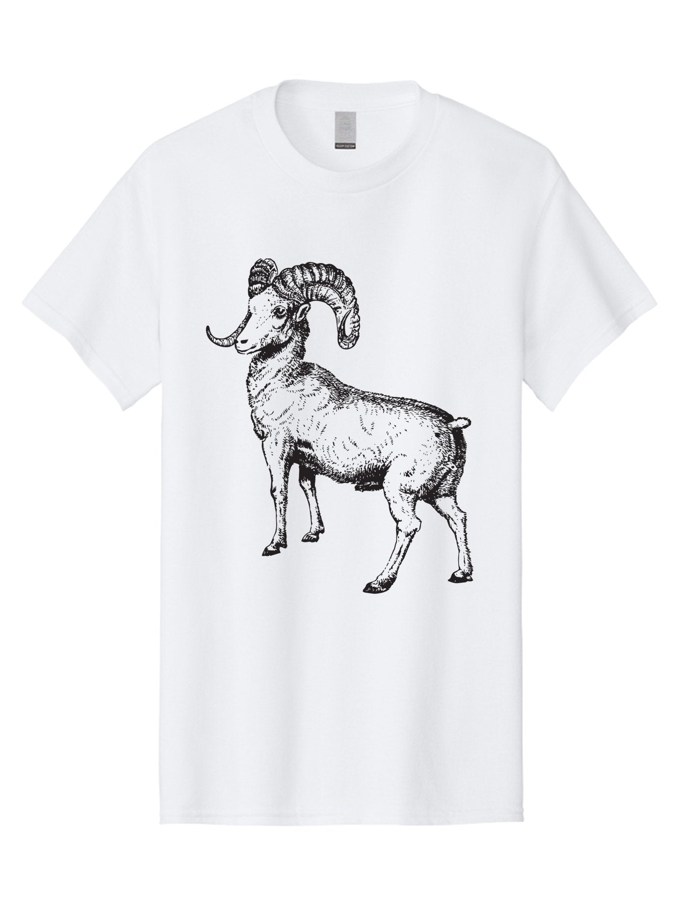 Ram Men'S Graphic Tee, 100% Cotton, Comfortable Casual Summer Wear, Machine Washable, Large Ram, Curved Horns, Wild Animal, Livestock, Farm Animal, Strong, Majestic, Nature, Wildlife, Outdoors, Rugged Aad934 11