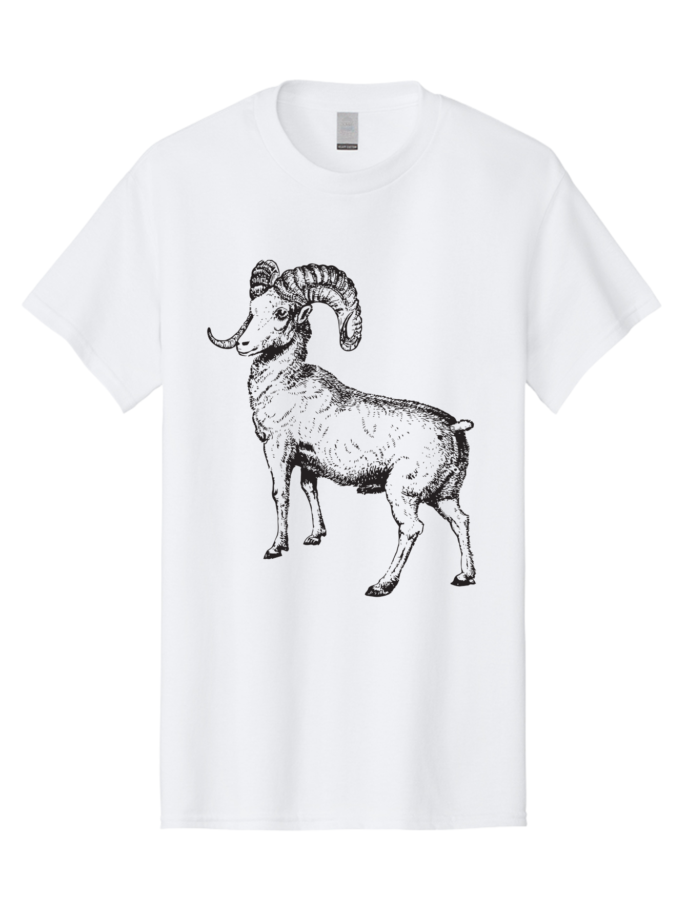 Ram Men'S Graphic Tee, 100% Cotton, Comfortable Casual Summer Wear, Machine Washable, Large Ram, Curved Horns, Wild Animal, Livestock, Farm Animal, Strong, Majestic, Nature, Wildlife, Outdoors, Rugged Aad934 7