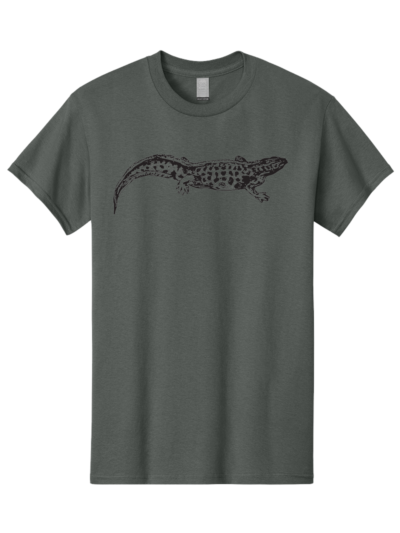 Salamander-Illustration Men'S Graphic Tee, 100% Cotton, Comfortable Casual Summer Wear, Machine Washable, Lizard Illustration, Spotted Lizard, Reptile Art, Wildlife Design, Graphic Illustration, Black Lizard, Lizard Graphics, Lizard Pattern Aad944 9