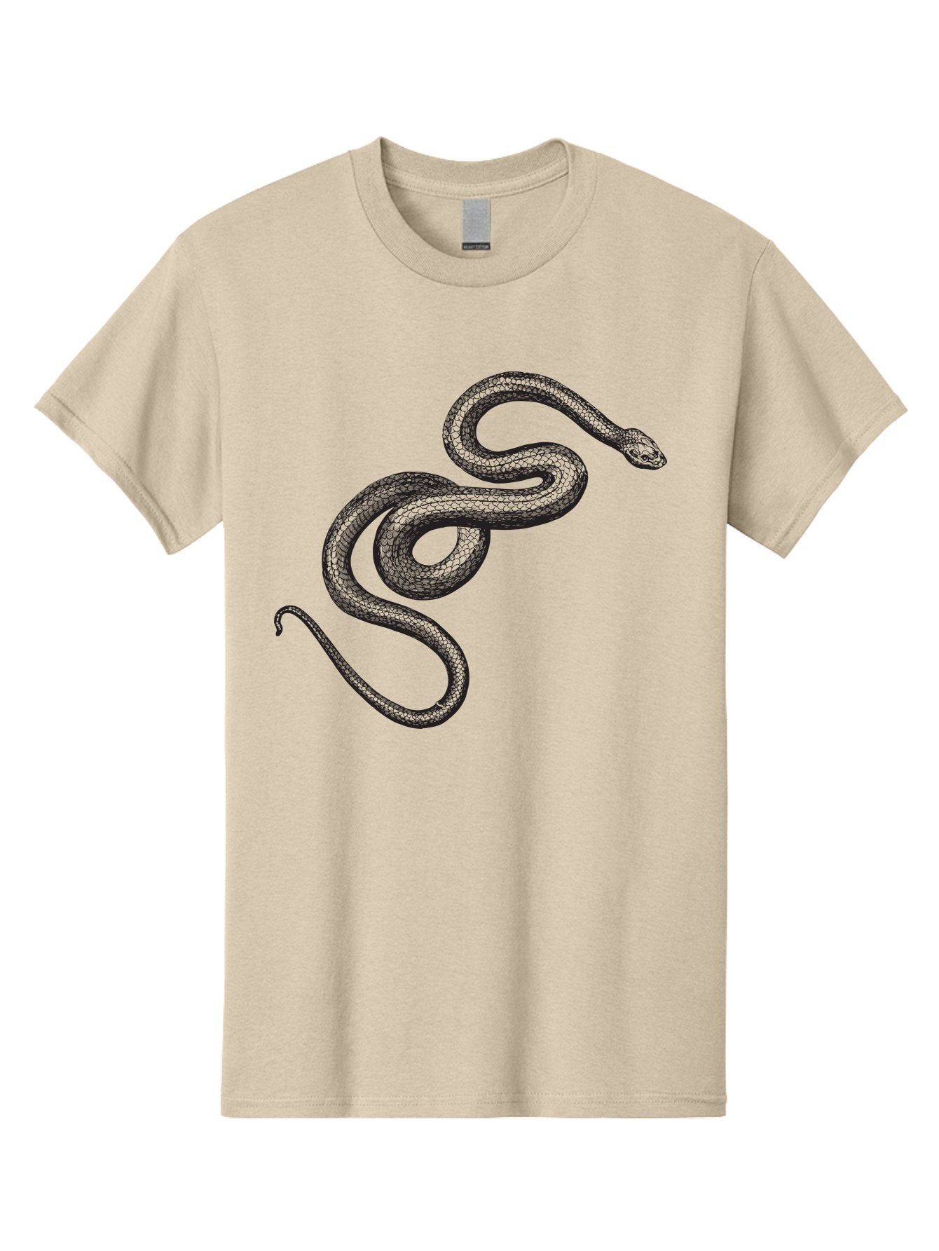 Snake-2 Men'S Graphic Tee, 100% Cotton, Comfortable Casual Summer Wear, Machine Washable, Snake Illustration, Reptile Art, Wildlife Design, Serpent Graphic, Animal Pattern, Stylized Snake, Coiled Snake, Snake Texture Aad952 12