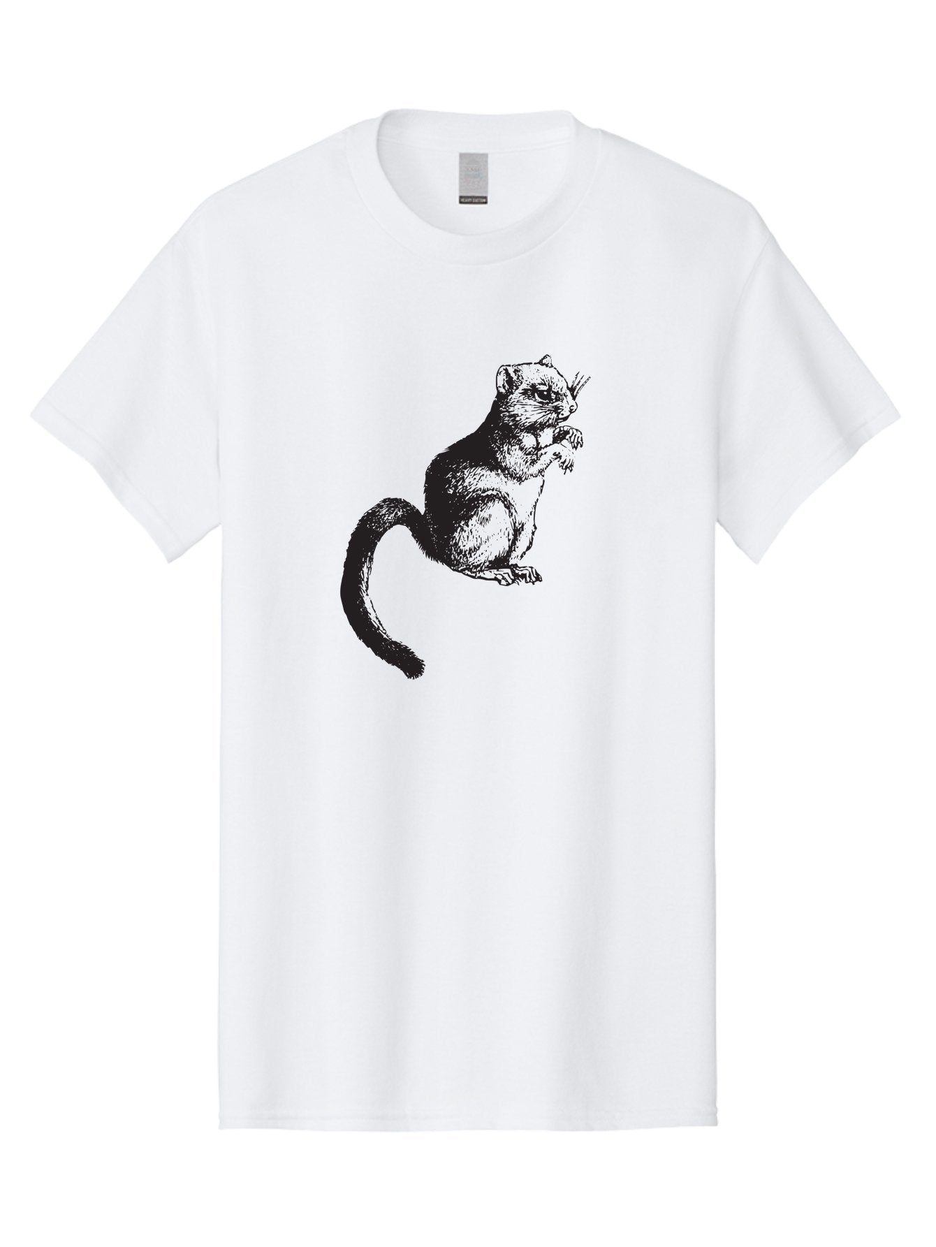 Squirrel Men'S Graphic Tee, 100% Cotton, Comfortable Casual Summer Wear, Machine Washable, Small Rodent, Furry Creature, Woodland Animal, Forest Dweller, Bushy-Tailed Mammal, Wildlife Illustration Aad957 8