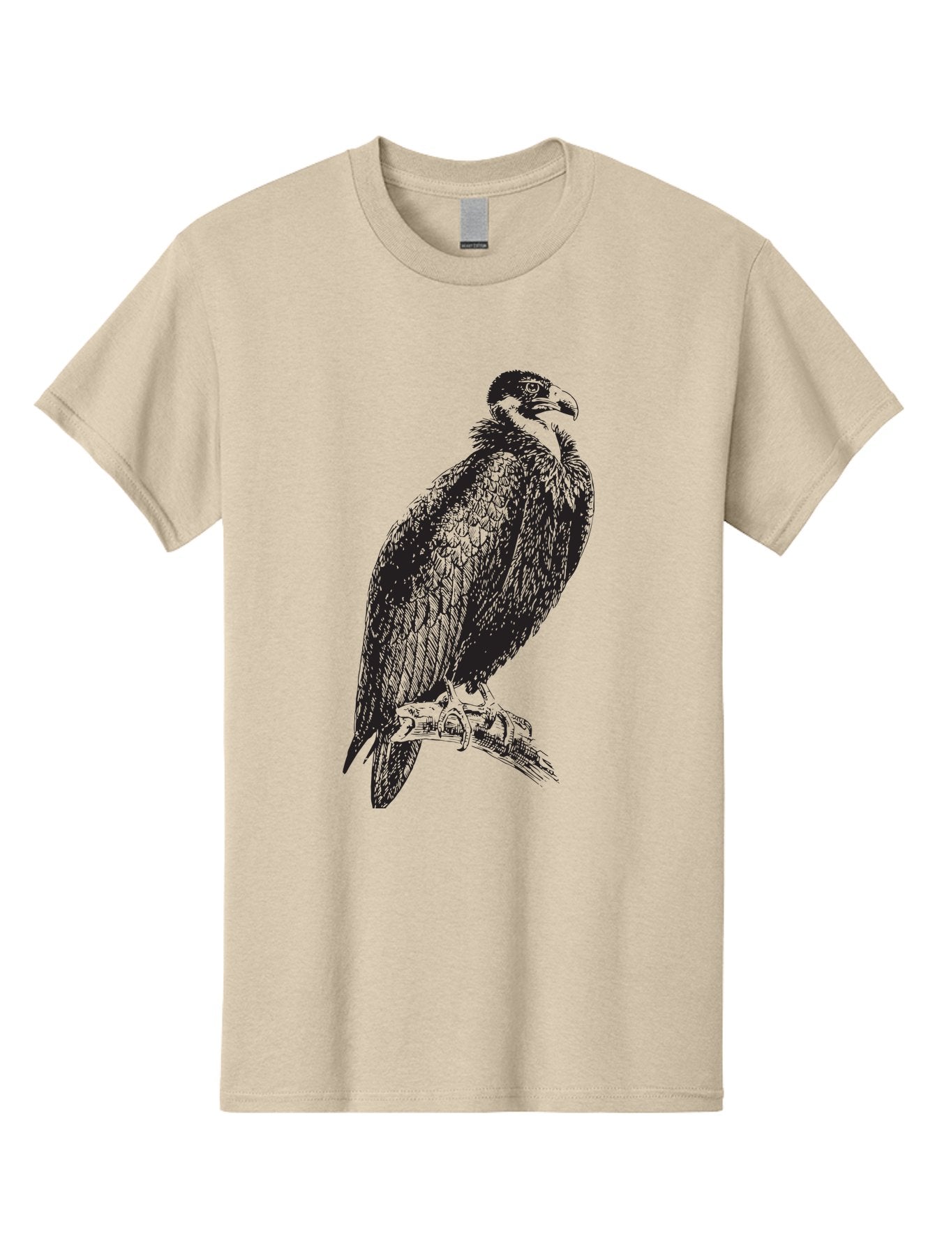 Vulture Men'S Graphic Tee, 100% Cotton, Comfortable Casual Summer Wear, Machine Washable, Vulture Perched On Branch, Bird Of Prey, Wildlife Illustration, Raptor, Sharp Talons, Feathers, Graphic Art, Wild Animal, Nature Sketch Aad965 5