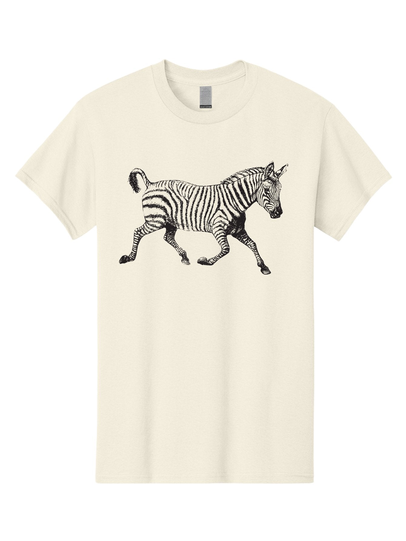 Zebra-Illustration Men'S Graphic Tee, 100% Cotton, Comfortable Casual Summer Wear, Machine Washable, Black And White Zebra, Wildlife Animal, Safari Theme, Black Stripes, Equine Mammal, Wild Horse, African Wildlife, Animal Illustration, Aad970 12