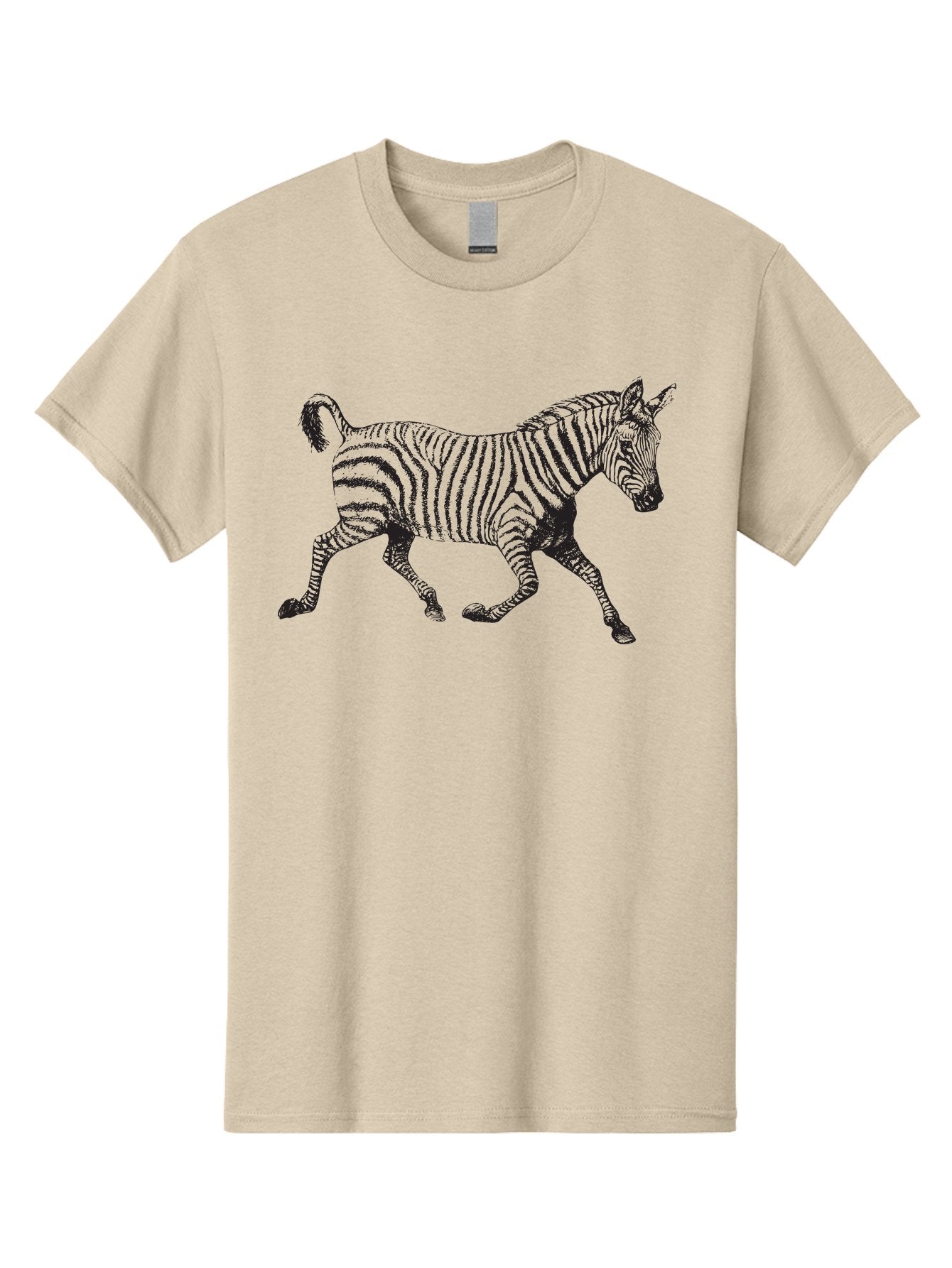 Zebra-Illustration Men'S Graphic Tee, 100% Cotton, Comfortable Casual Summer Wear, Machine Washable, Black And White Zebra, Wildlife Animal, Safari Theme, Black Stripes, Equine Mammal, Wild Horse, African Wildlife, Animal Illustration, Aad970 8