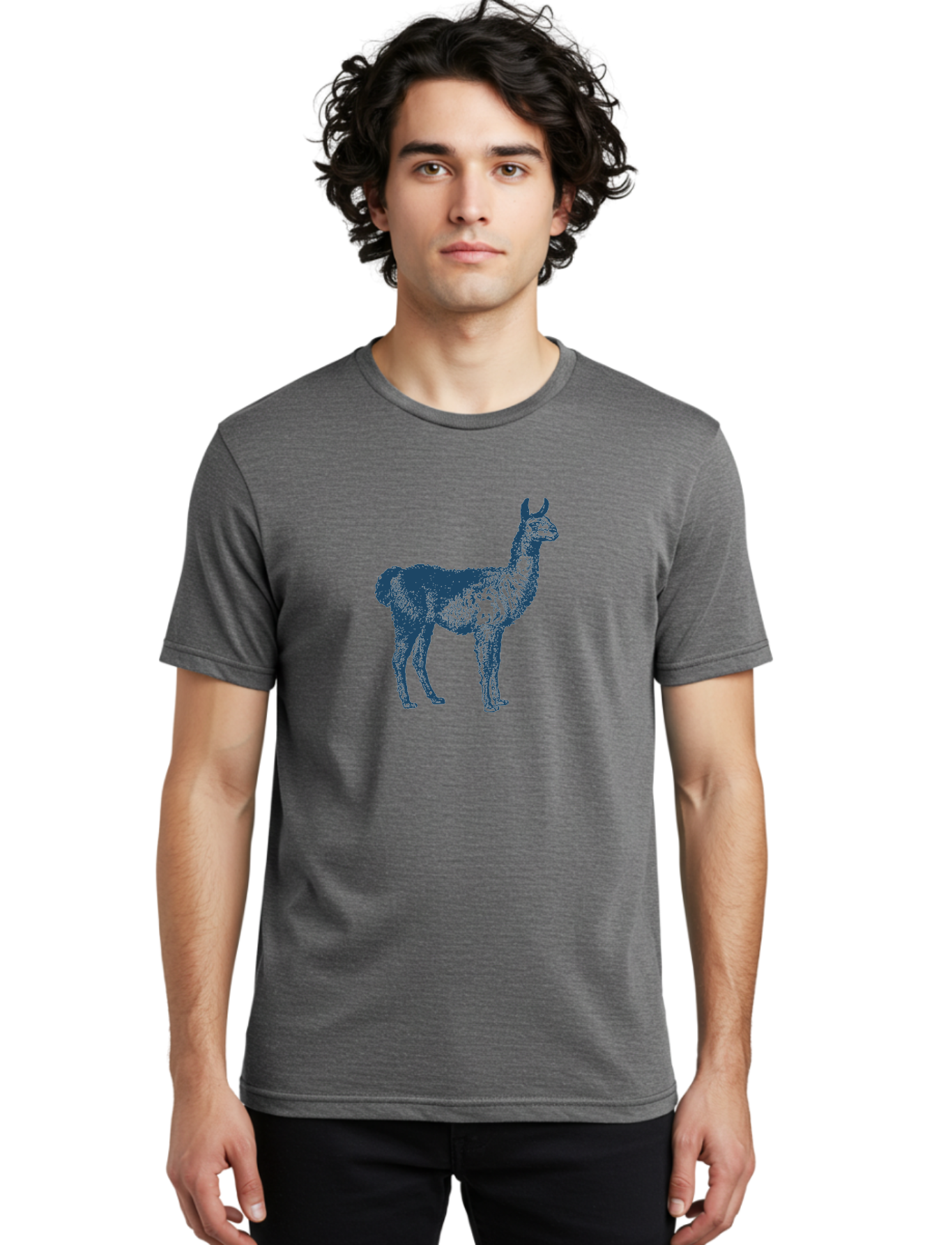 Alto Llama Men'S Graphic Tee, 100% Cotton, Comfortable Casual Summer Wear, Machine Washable, Llama Illustration, Stylized Animal Art, Vibrant Colors, Abstract Design, Modern Graphic, Wildlife Inspiration, Artistic Expression, Camelid Species Aae099 26