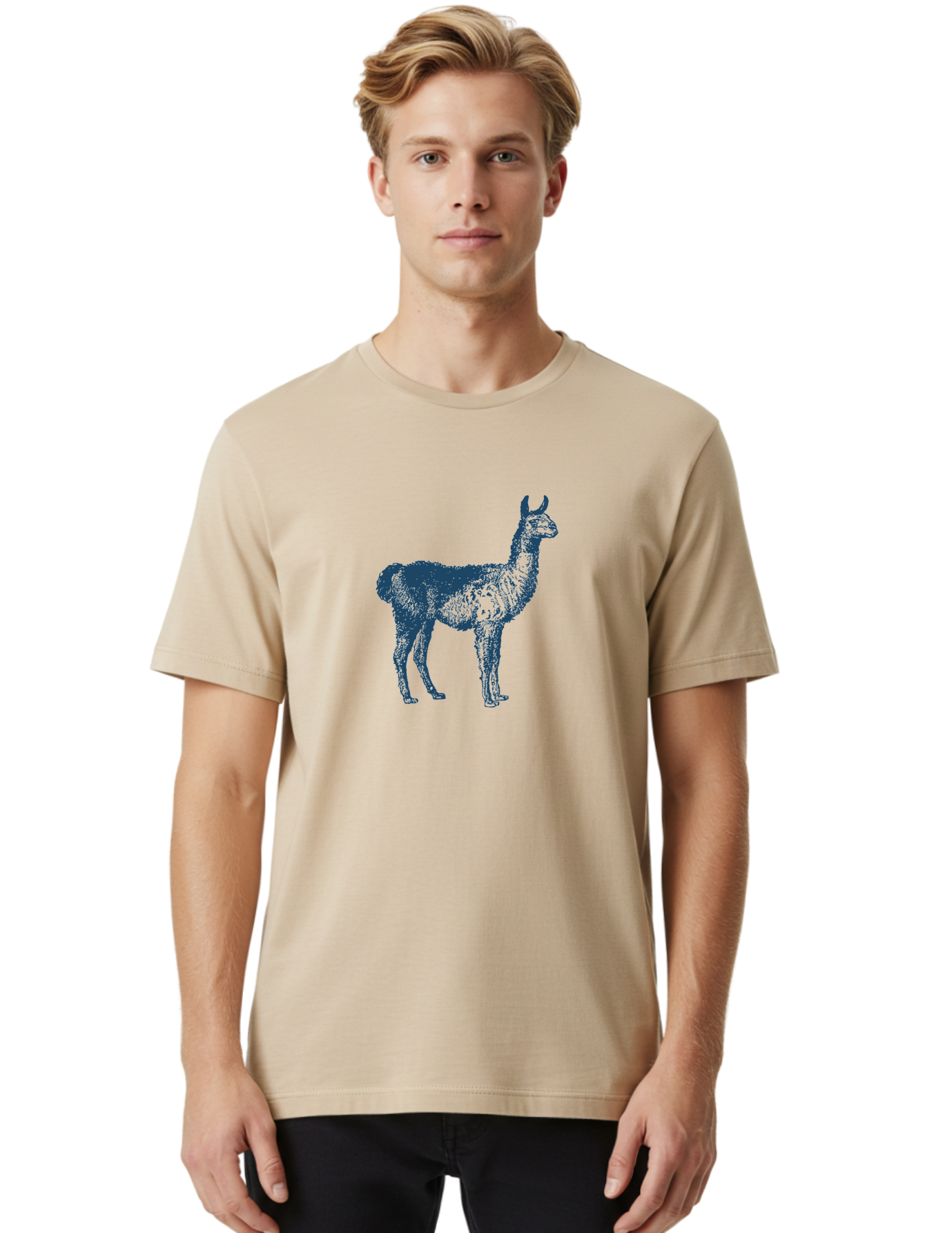Alto Llama Men'S Graphic Tee, 100% Cotton, Comfortable Casual Summer Wear, Machine Washable, Llama Illustration, Stylized Animal Art, Vibrant Colors, Abstract Design, Modern Graphic, Wildlife Inspiration, Artistic Expression, Camelid Species Aae099 28