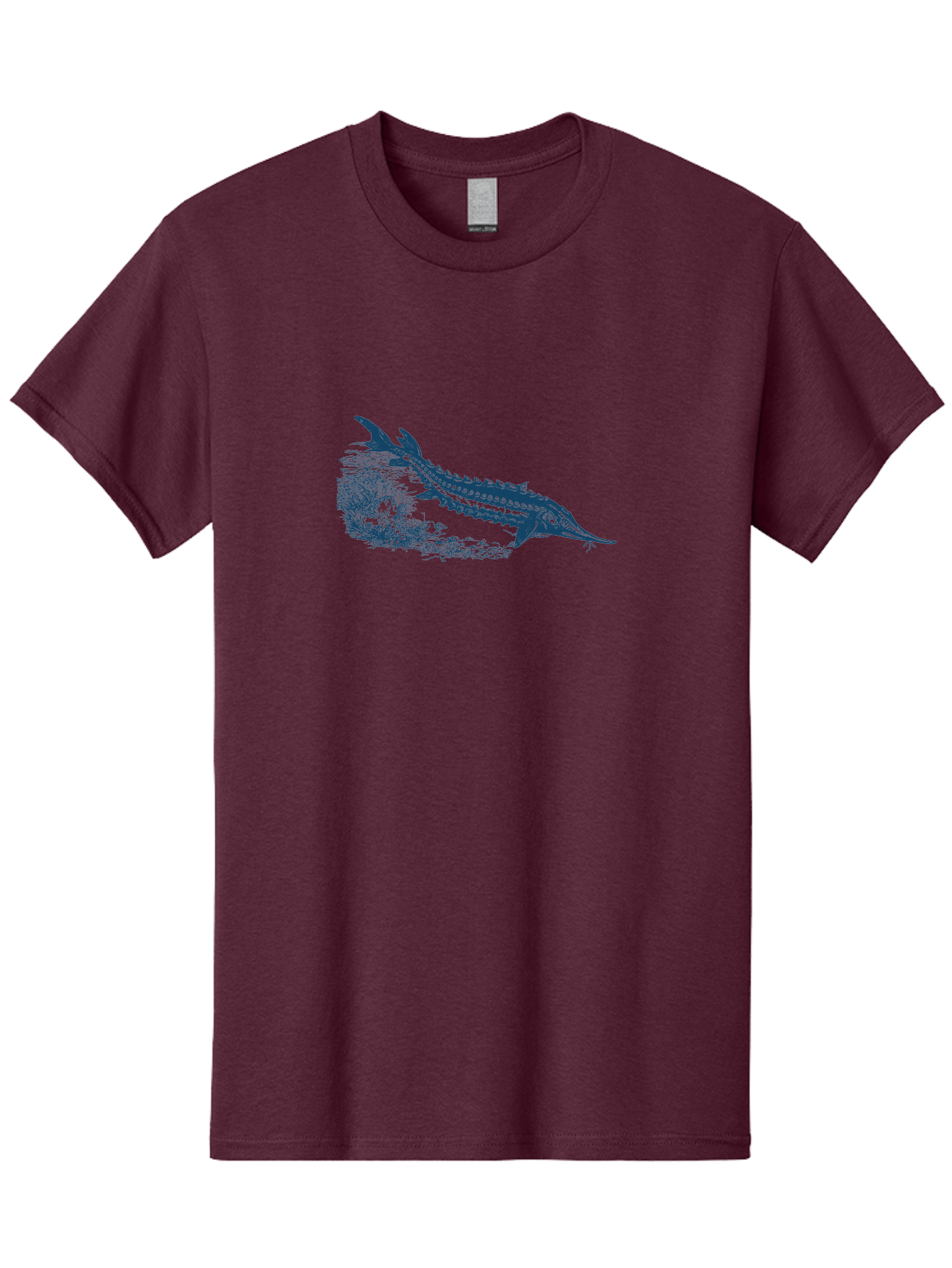 Ancient River Fish Men'S Graphic Tee, 100% Cotton, Comfortable Casual Summer Wear, Machine Washable, Sturgeon Fish, Aquatic Life, Marine Biology, Fish Illustration, Detailed Drawing, Underwater World, Wildlife Art Aae103 21