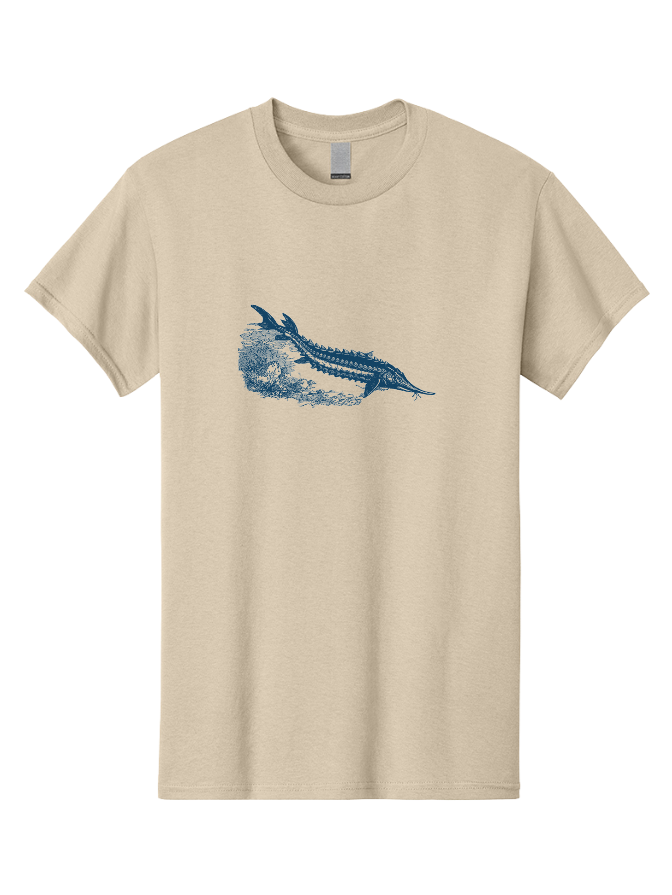 Ancient River Fish Men'S Graphic Tee, 100% Cotton, Comfortable Casual Summer Wear, Machine Washable, Sturgeon Fish, Aquatic Life, Marine Biology, Fish Illustration, Detailed Drawing, Underwater World, Wildlife Art Aae103 3