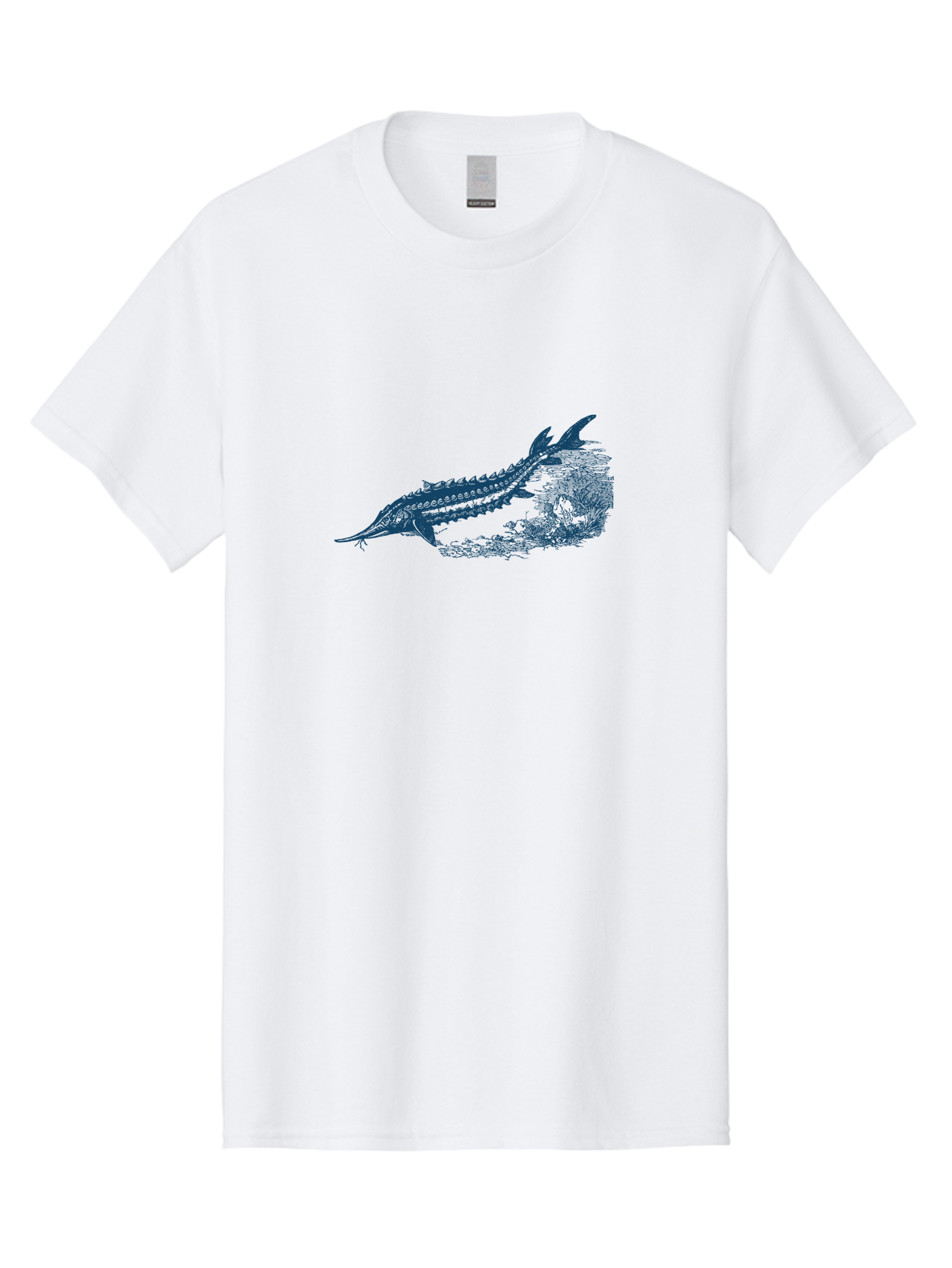Ancient River Fish 2 Men'S Graphic Tee, 100% Cotton, Comfortable Casual Summer Wear, Machine Washable, Sawshark, Marine Life, Ocean Creature, Underwater World, Fish Illustration, Aquatic Animal, Shark Species, Detailed Artwork, Aae104 13