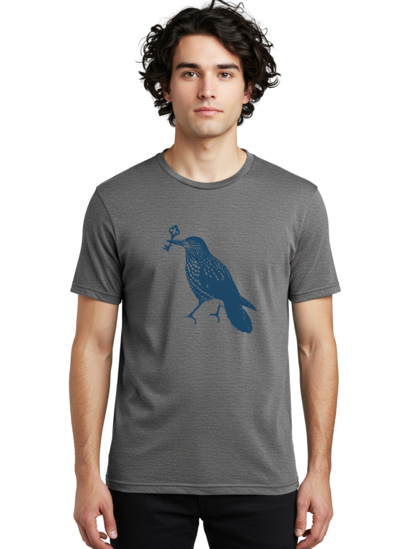 Bird-With-Key Men'S Graphic Tee, 100% Cotton, Comfortable Casual Summer Wear, Machine Washable, Bird Holding Key, Symbolic Illustration, Mysterious Artwork, Dark Blue Silhouette, Unique Key Design, Ornate Key Details, Aae143 17