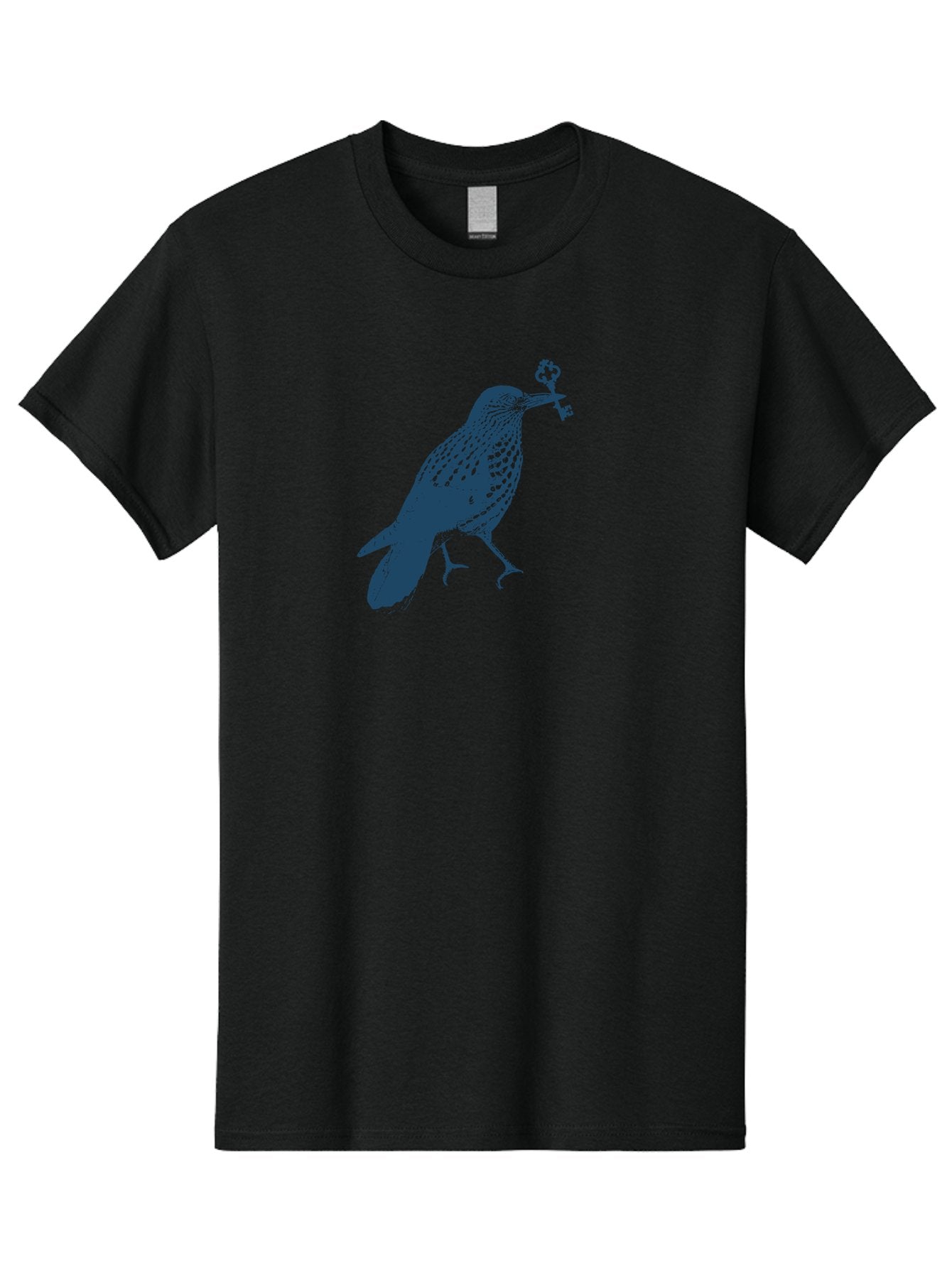 Bird-With-Key 2 Men'S Graphic Tee, 100% Cotton, Comfortable Casual Summer Wear, Machine Washable, Bluebird Holding Key, Bird Silhouette, Symbolic Bird, Mysterious Key, Spotted Bird, Avian Art, Esoteric Symbol, Ornate Key Aae144