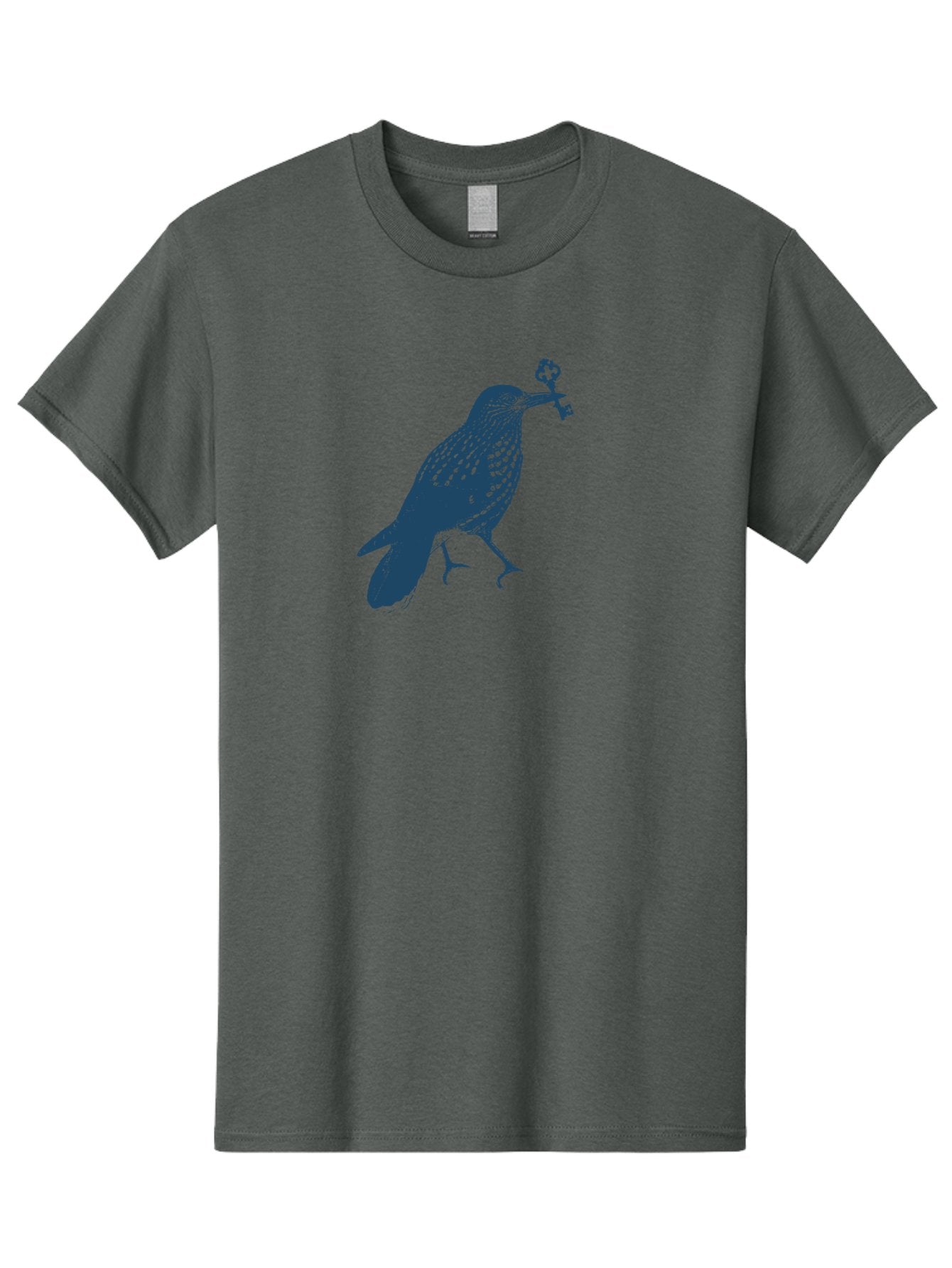 Bird-With-Key 2 Men'S Graphic Tee, 100% Cotton, Comfortable Casual Summer Wear, Machine Washable, Bluebird Holding Key, Bird Silhouette, Symbolic Bird, Mysterious Key, Spotted Bird, Avian Art, Esoteric Symbol, Ornate Key Aae144 5