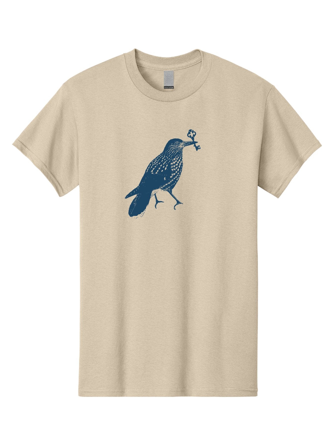 Bird-With-Key 2 Men'S Graphic Tee, 100% Cotton, Comfortable Casual Summer Wear, Machine Washable, Bluebird Holding Key, Bird Silhouette, Symbolic Bird, Mysterious Key, Spotted Bird, Avian Art, Esoteric Symbol, Ornate Key Aae144 14
