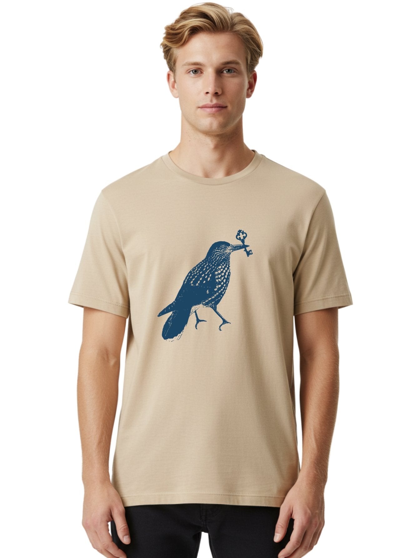 Bird-With-Key 2 Men'S Graphic Tee, 100% Cotton, Comfortable Casual Summer Wear, Machine Washable, Bluebird Holding Key, Bird Silhouette, Symbolic Bird, Mysterious Key, Spotted Bird, Avian Art, Esoteric Symbol, Ornate Key Aae144 29
