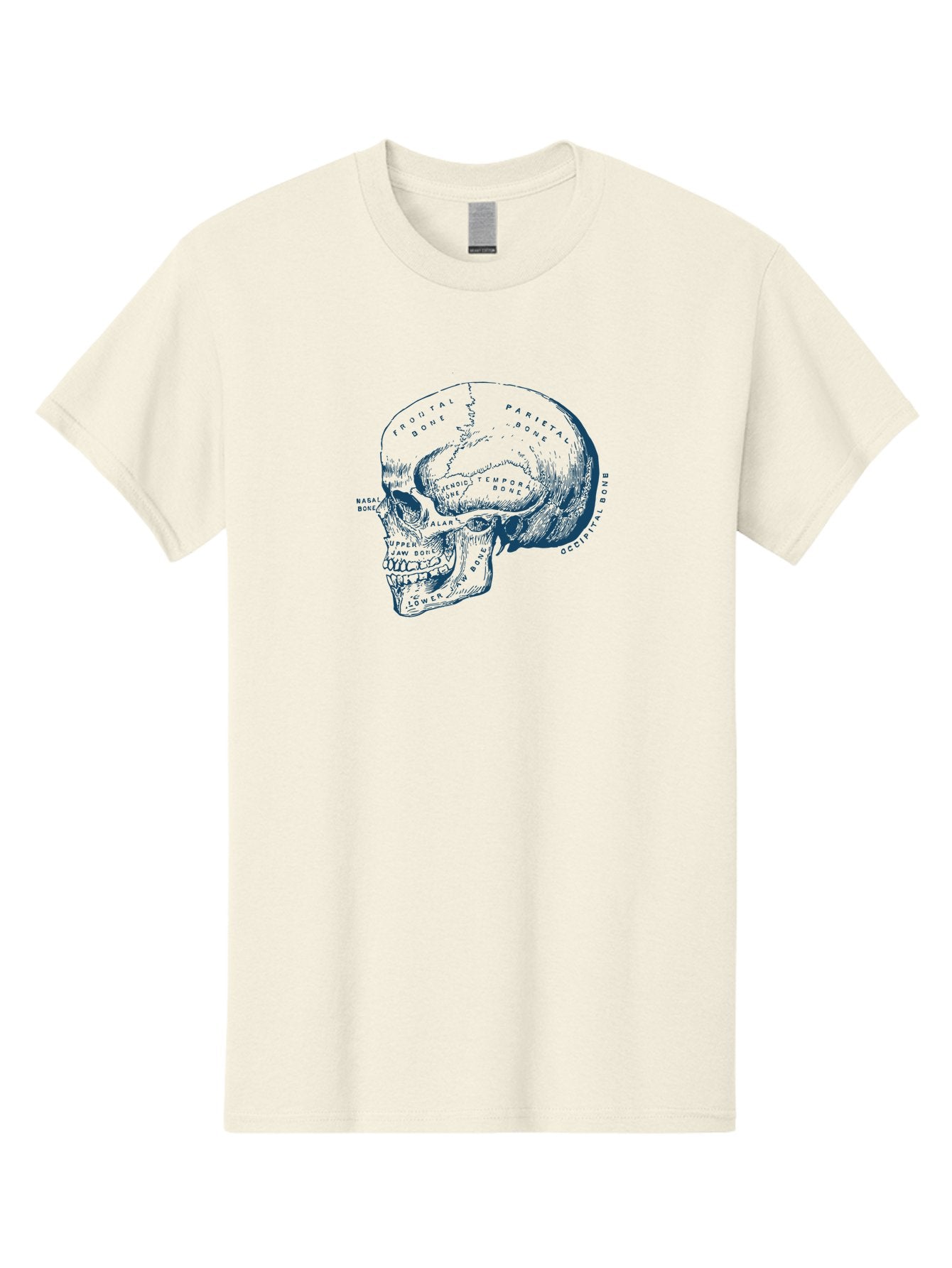 Blueprint Skull Men'S Graphic Tee, 100% Cotton, Comfortable Casual Summer Wear, Machine Washable, Human Skull, Anatomical Diagram, Labeled Bones, Frontal Bone, Parietal Bone, Occipital Bone, Temporal Bone, Jaw Bone, Medical Illustration, Aae151 14