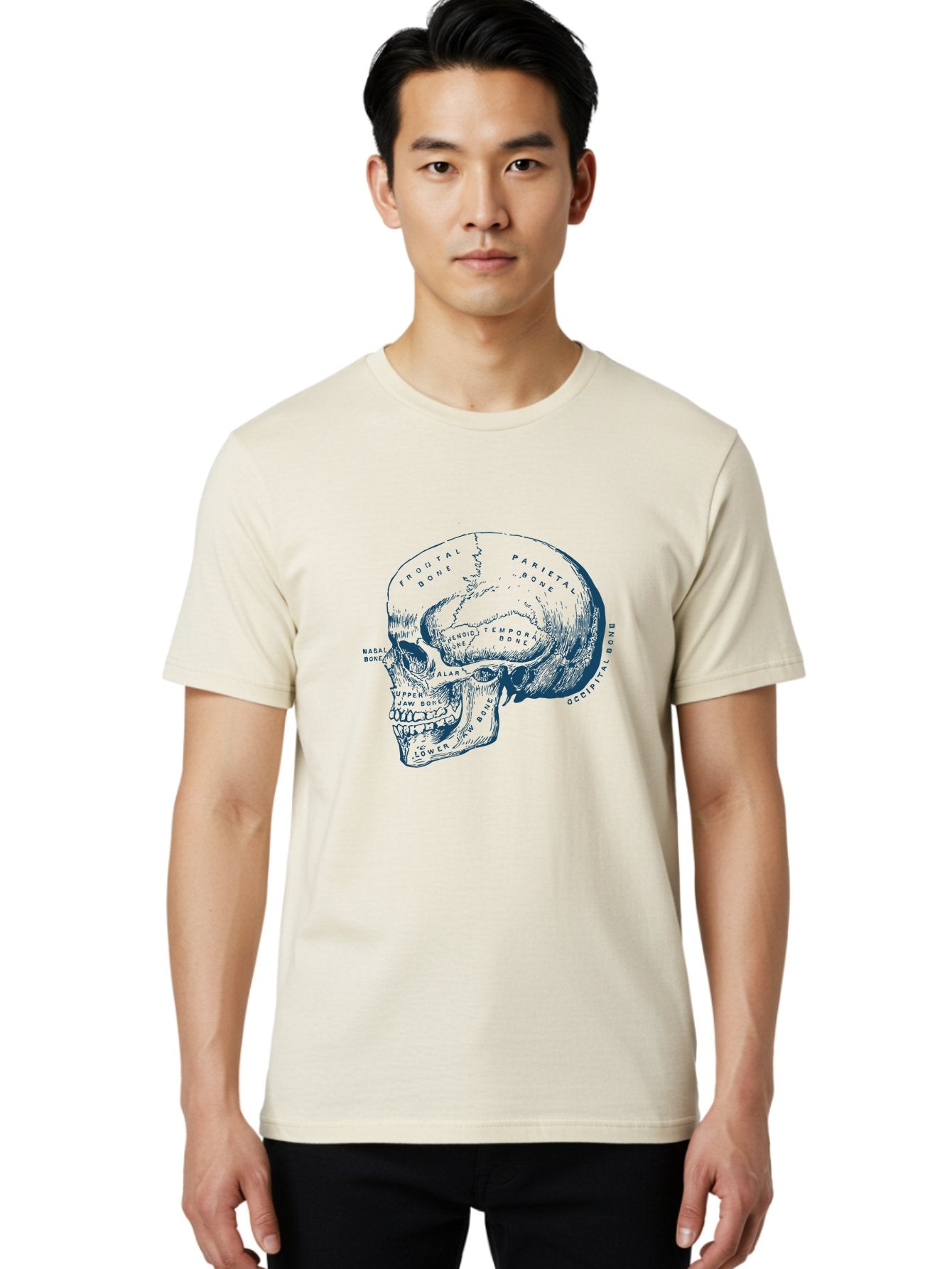 Blueprint Skull Men'S Graphic Tee, 100% Cotton, Comfortable Casual Summer Wear, Machine Washable, Human Skull, Anatomical Diagram, Labeled Bones, Frontal Bone, Parietal Bone, Occipital Bone, Temporal Bone, Jaw Bone, Medical Illustration, Aae151 29