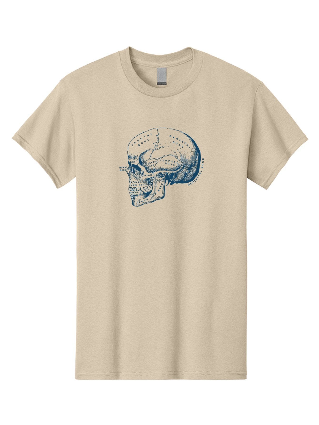 Blueprint Skull Men'S Graphic Tee, 100% Cotton, Comfortable Casual Summer Wear, Machine Washable, Human Skull, Anatomical Diagram, Labeled Bones, Frontal Bone, Parietal Bone, Occipital Bone, Temporal Bone, Jaw Bone, Medical Illustration, Aae151 10