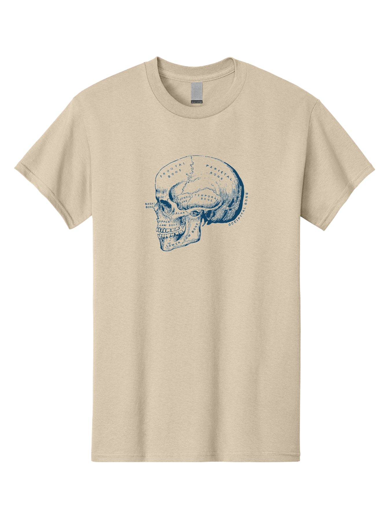 Blueprint Skull Men'S Graphic Tee, 100% Cotton, Comfortable Casual Summer Wear, Machine Washable, Human Skull, Anatomical Diagram, Labeled Bones, Frontal Bone, Parietal Bone, Occipital Bone, Temporal Bone, Jaw Bone, Medical Illustration, Aae151