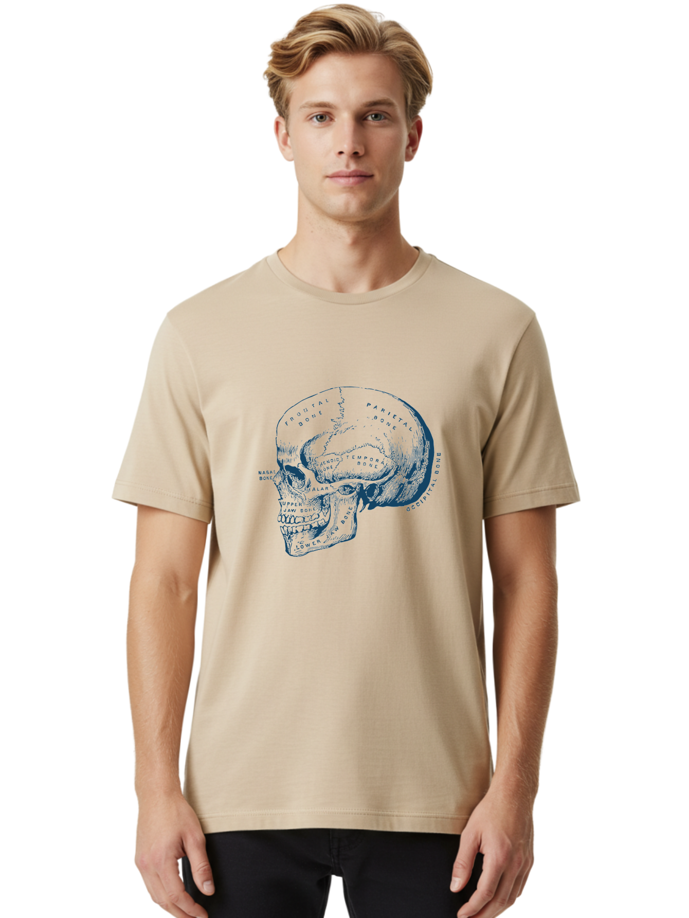 Blueprint Skull Men'S Graphic Tee, 100% Cotton, Comfortable Casual Summer Wear, Machine Washable, Human Skull, Anatomical Diagram, Labeled Bones, Frontal Bone, Parietal Bone, Occipital Bone, Temporal Bone, Jaw Bone, Medical Illustration, Aae151