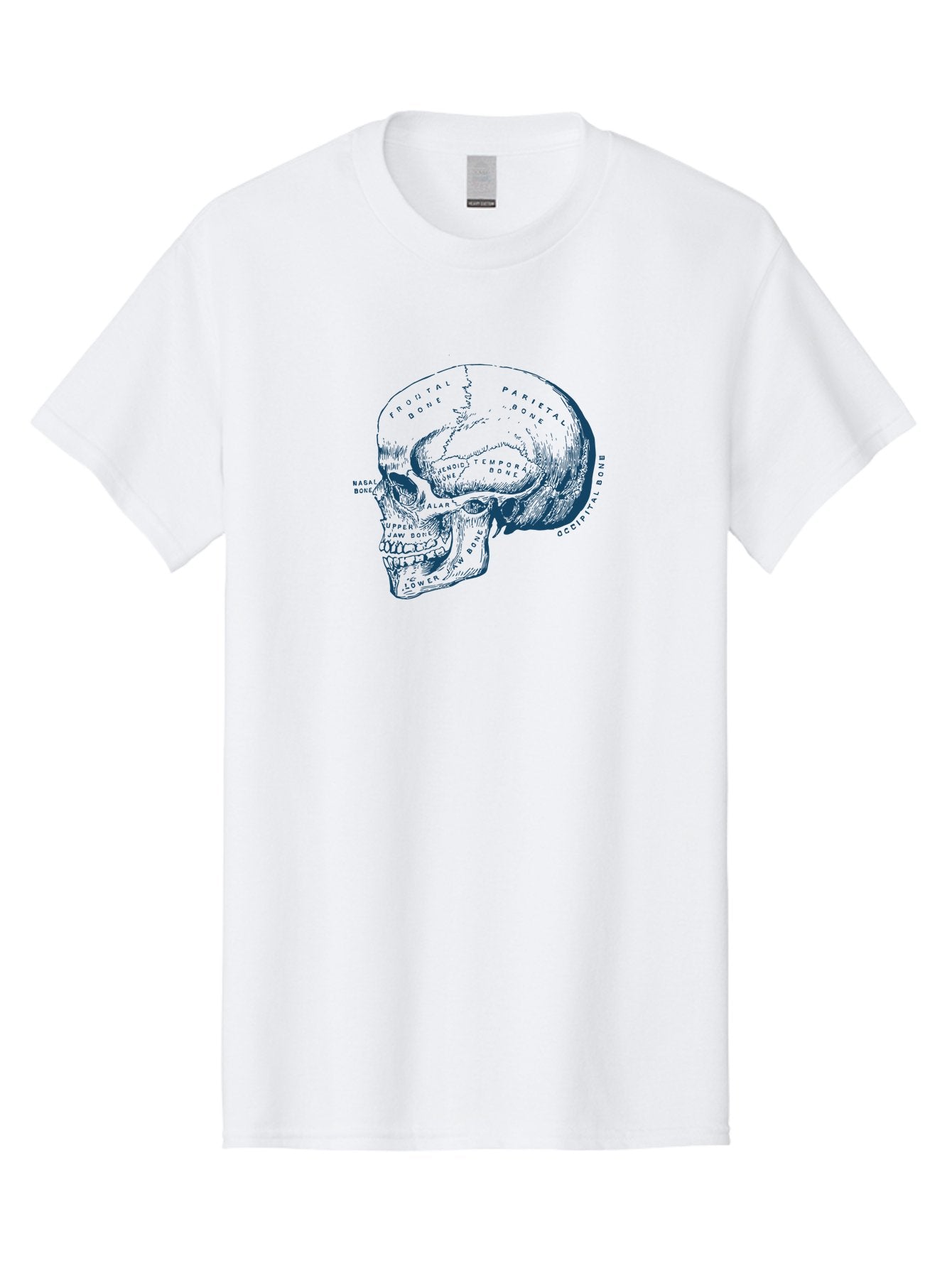 Blueprint Skull Men'S Graphic Tee, 100% Cotton, Comfortable Casual Summer Wear, Machine Washable, Human Skull, Anatomical Diagram, Labeled Bones, Frontal Bone, Parietal Bone, Occipital Bone, Temporal Bone, Jaw Bone, Medical Illustration, Aae151 5