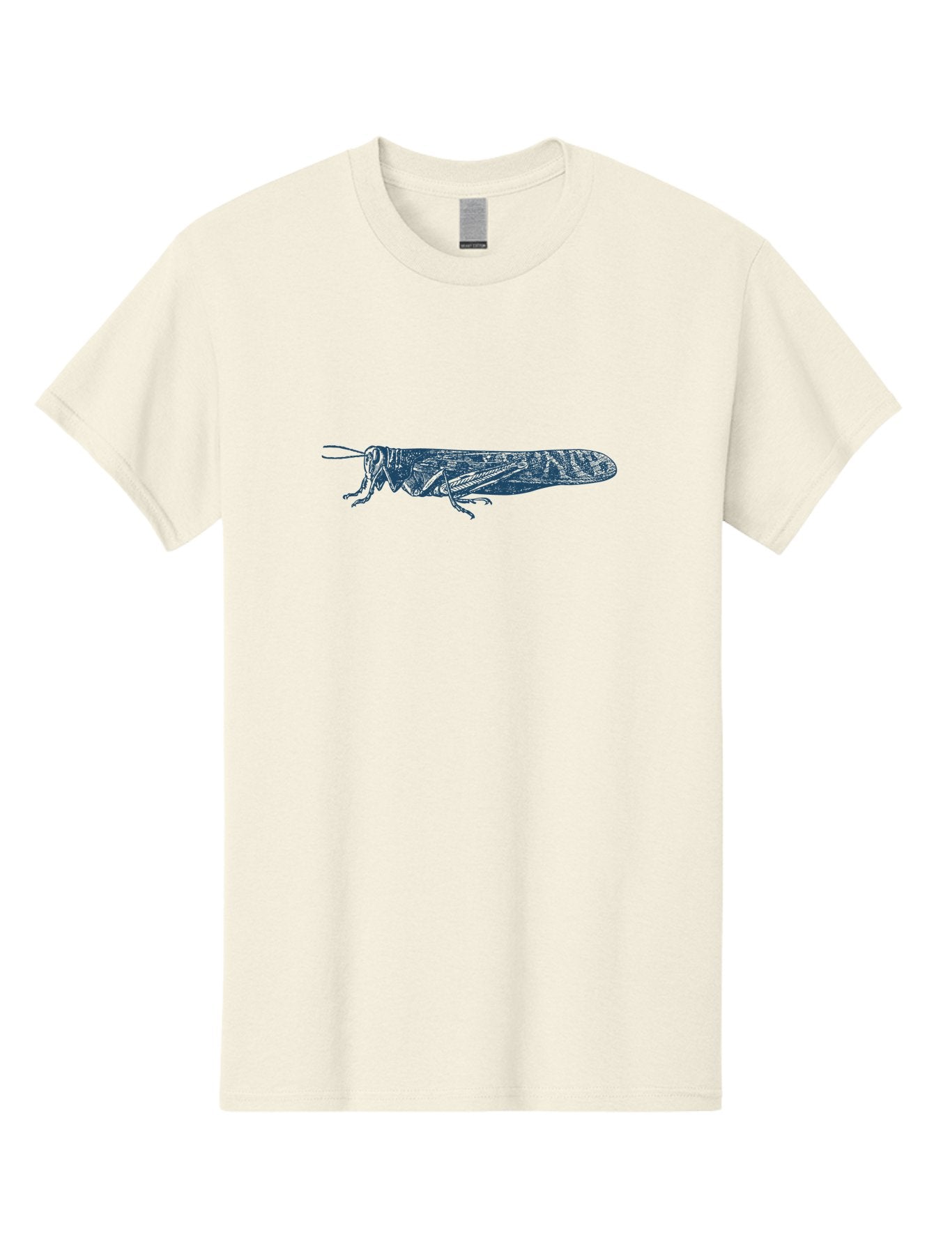 Etched Grasshopper Men'S Graphic Tee, 100% Cotton, Comfortable Casual Summer Wear, Machine Washable, Locust Illustration, Insect Art, Detailed Drawing, Grasshopper Design, Entomology, Wildlife Graphic, Line Art Aae262 11