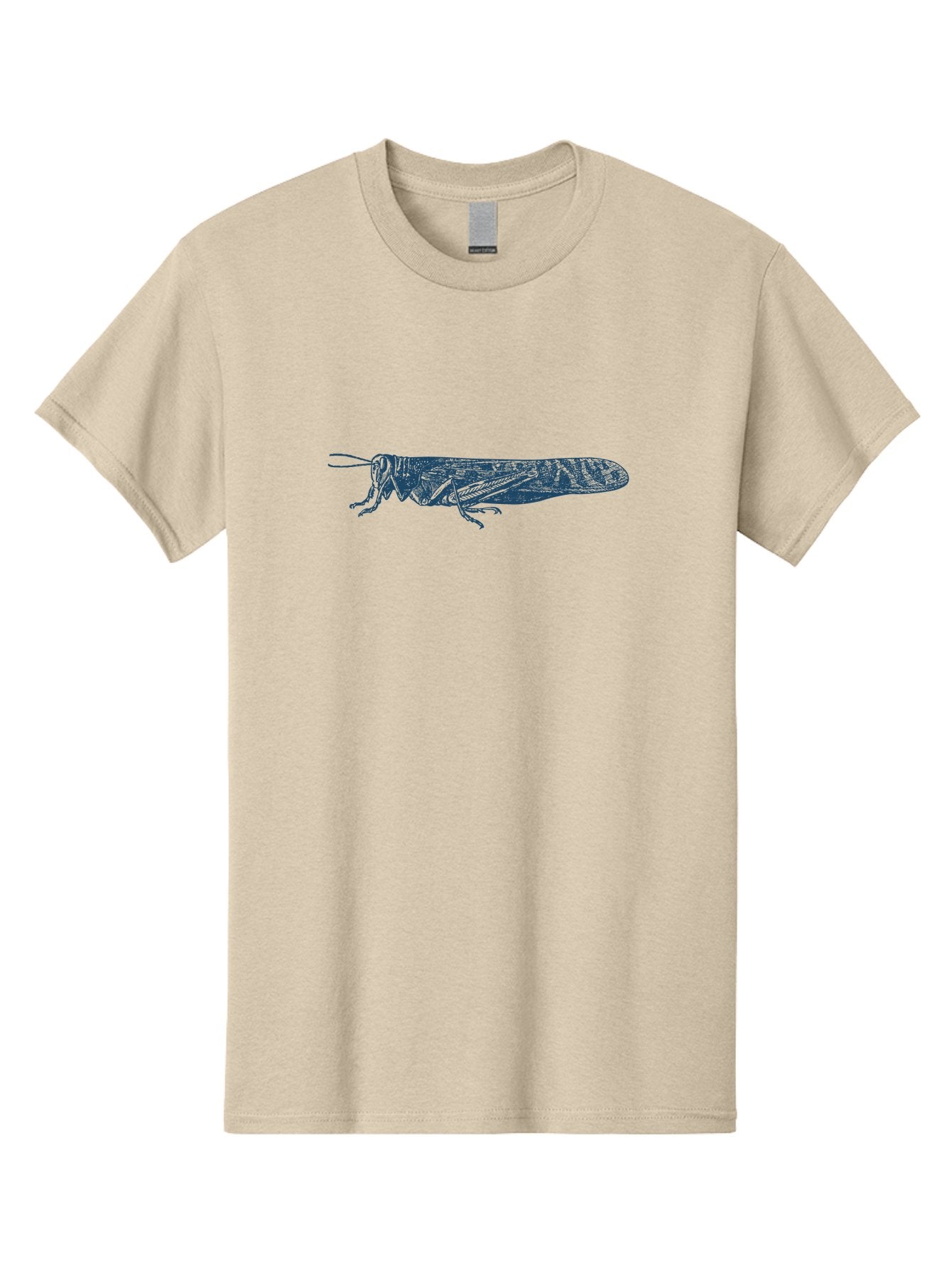 Etched Grasshopper Men'S Graphic Tee, 100% Cotton, Comfortable Casual Summer Wear, Machine Washable, Locust Illustration, Insect Art, Detailed Drawing, Grasshopper Design, Entomology, Wildlife Graphic, Line Art Aae262 12