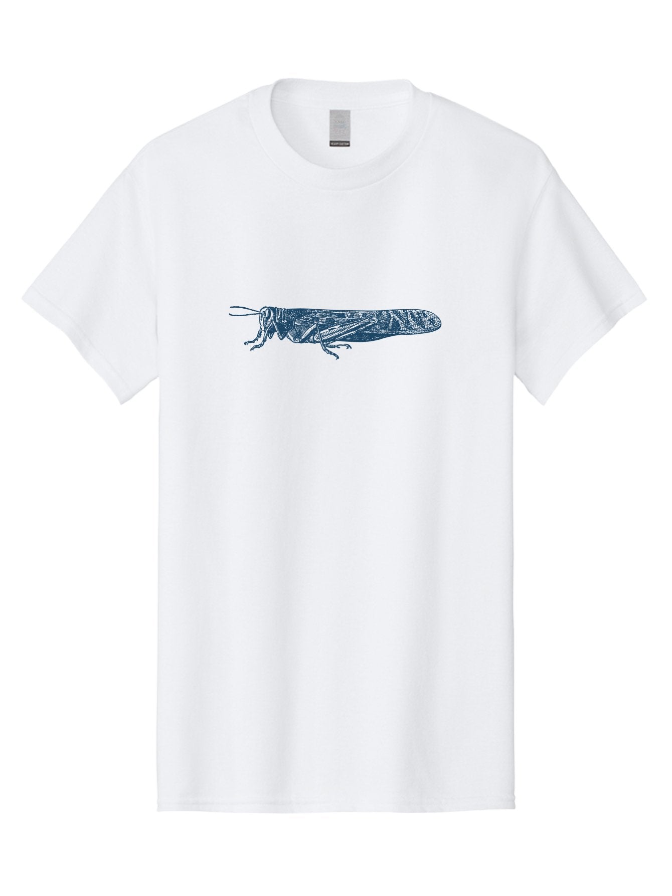 Etched Grasshopper Men'S Graphic Tee, 100% Cotton, Comfortable Casual Summer Wear, Machine Washable, Locust Illustration, Insect Art, Detailed Drawing, Grasshopper Design, Entomology, Wildlife Graphic, Line Art Aae262 7