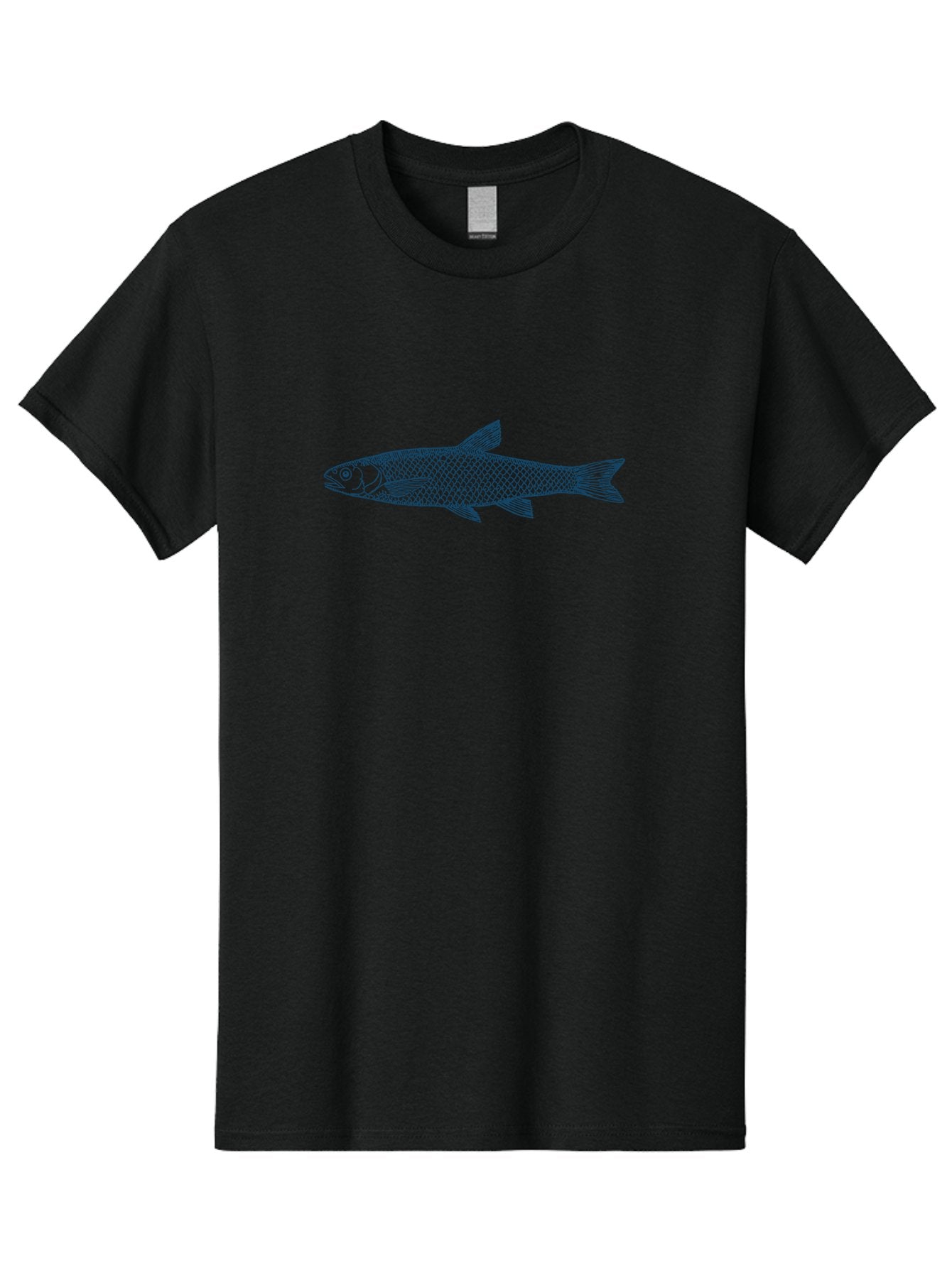 Silent Fin Men'S Graphic Tee, 100% Cotton, Comfortable Casual Summer Wear, Machine Washable, Illustration Of A Fish, Fish Drawing, Aquatic Life, Marine Biology, Detailed Scales, Fins, Tail, Underwater Creature, Wildlife Art Aae643 6