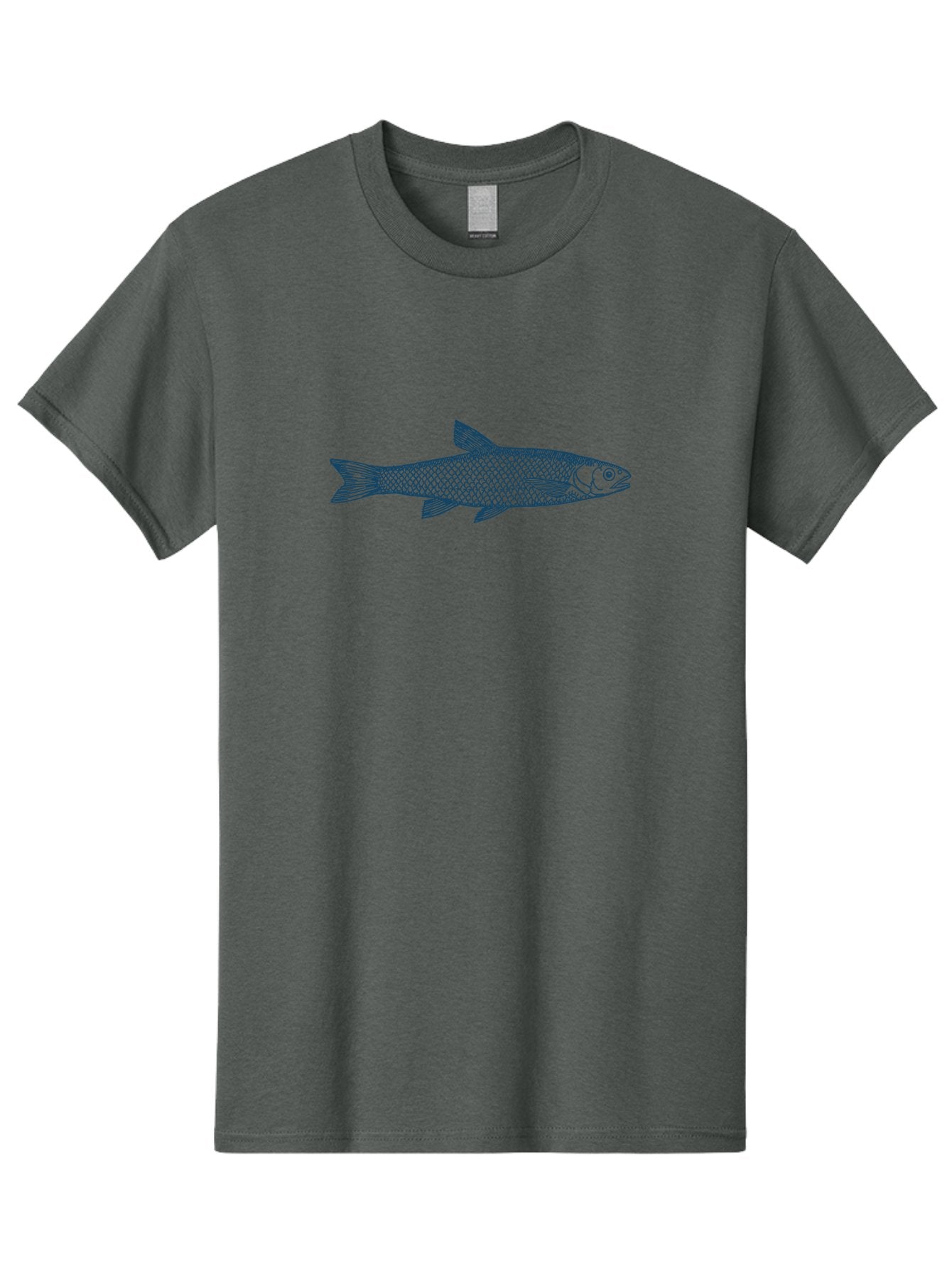 Silverline Fish Men'S Graphic Tee, 100% Cotton, Comfortable Casual Summer Wear, Machine Washable, Illustration Of A Fish, Fish With Scales, Aquatic Animal, Ocean Life, Sea Creature, Wildlife, Marine Biology, Fish Art, Detailed Drawing, Aae647 10