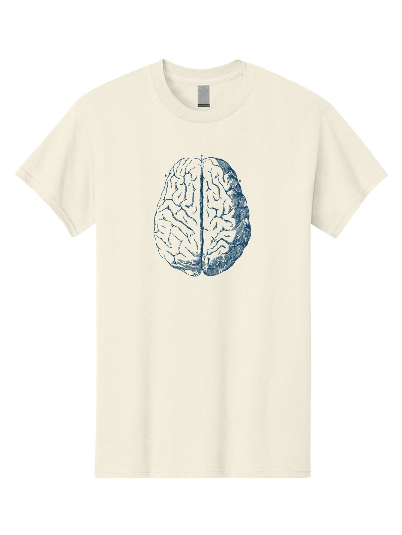 Vintage Brain Diagram Men'S Graphic Tee, 100% Cotton, Comfortable Casual Summer Wear, Machine Washable, Human Brain Illustration, Brain Anatomy, Cerebral Cortex, Neuroscience, Cognitive Function, Brain Structure, Left And Right Hemispheres, Aae786 7