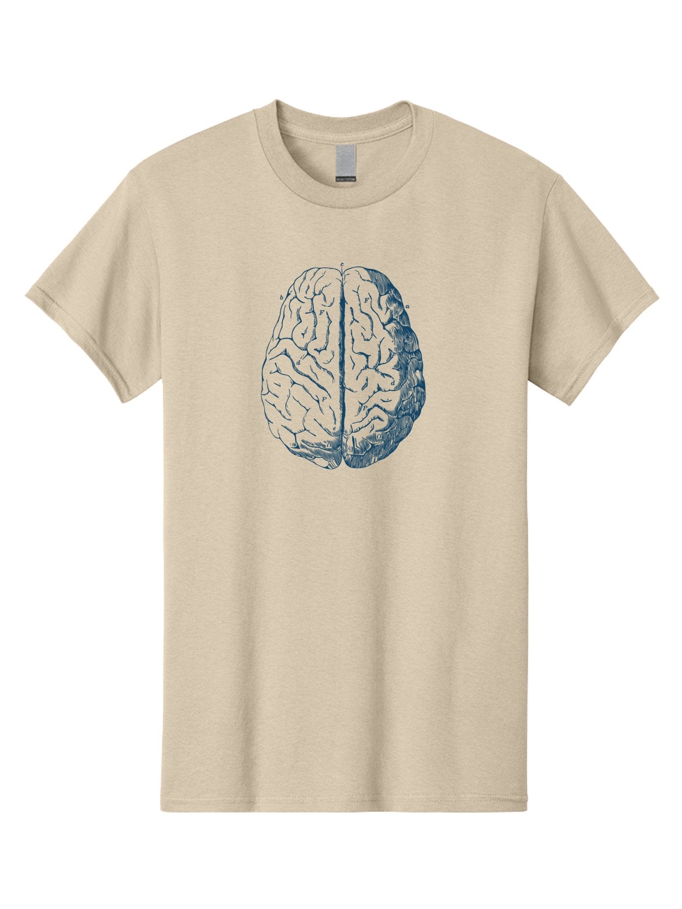 Vintage Brain Diagram Men'S Graphic Tee, 100% Cotton, Comfortable Casual Summer Wear, Machine Washable, Human Brain Illustration, Brain Anatomy, Cerebral Cortex, Neuroscience, Cognitive Function, Brain Structure, Left And Right Hemispheres, Aae786 11