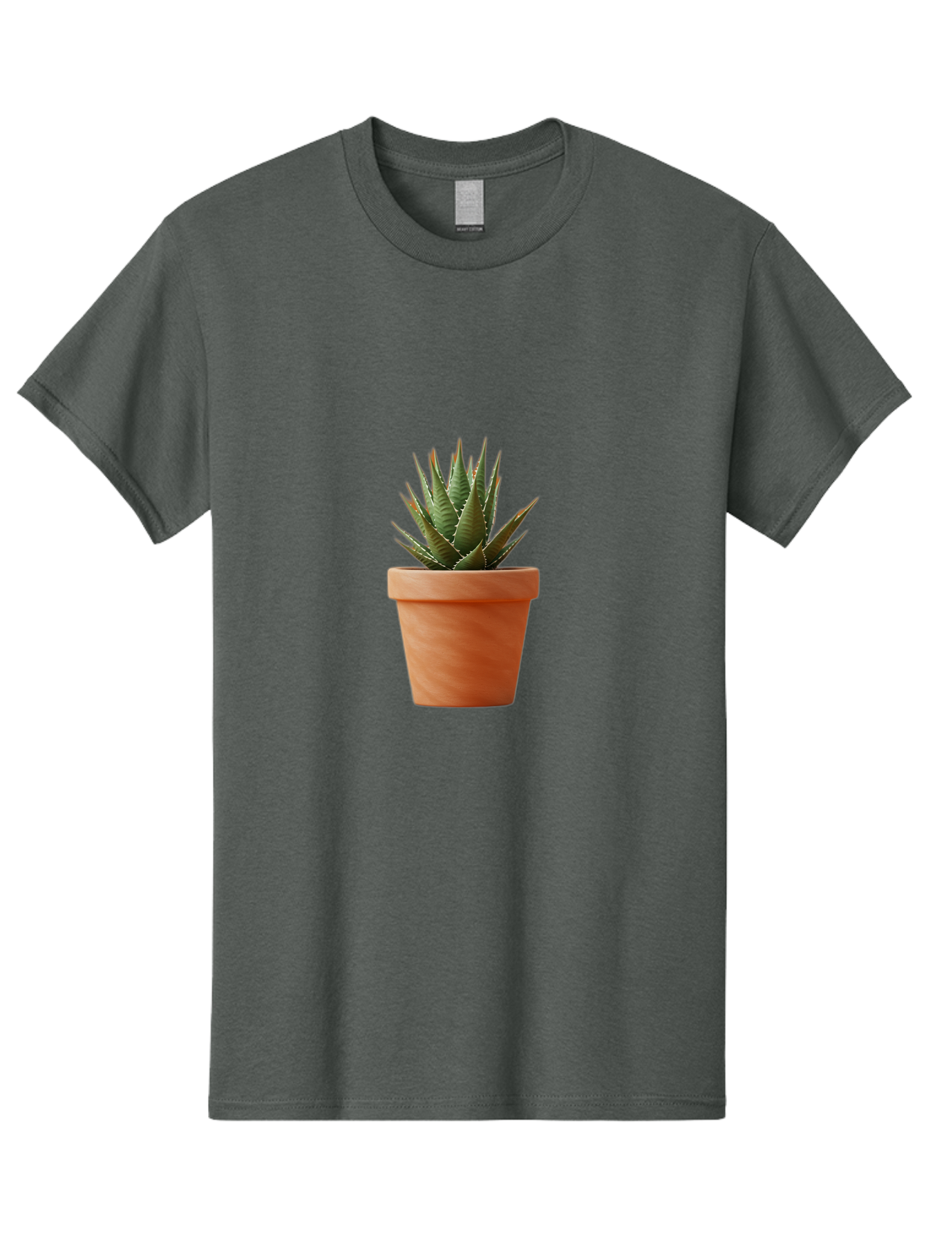 Agave-In-Terracotta-Pot Men'S Graphic Tee, 100% Cotton, Comfortable Casual Summer Wear, Machine Washable, Aloe Vera In Terracotta Pot, Succulent Plant, Indoor Decor, Minimalist Design, Low Maintenance, Green Leaves, Spiky Texture, Home Decor Baa124 13