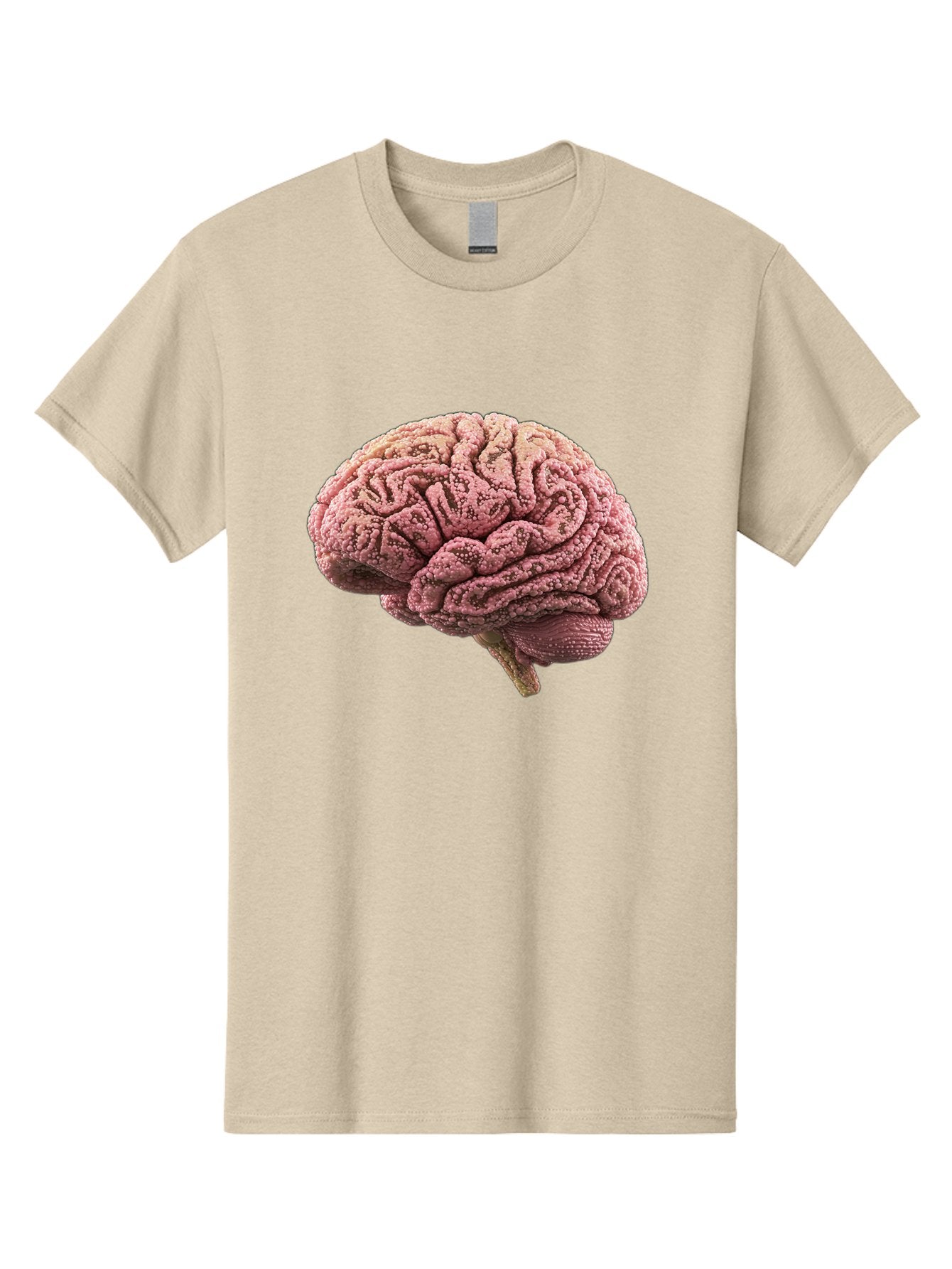 Human-Brain-5 Men'S Graphic Tee, 100% Cotton, Comfortable Casual Summer Wear, Machine Washable, Human Brain Anatomy, Brain Structure, Cerebral Cortex, Neuroscience, Cognitive Function, Medical Illustration, Brain Scan Baa843 10