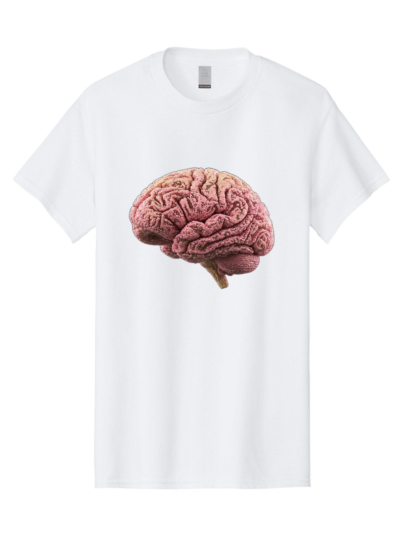 Human-Brain-5 Men'S Graphic Tee, 100% Cotton, Comfortable Casual Summer Wear, Machine Washable, Human Brain Anatomy, Brain Structure, Cerebral Cortex, Neuroscience, Cognitive Function, Medical Illustration, Brain Scan Baa843 11