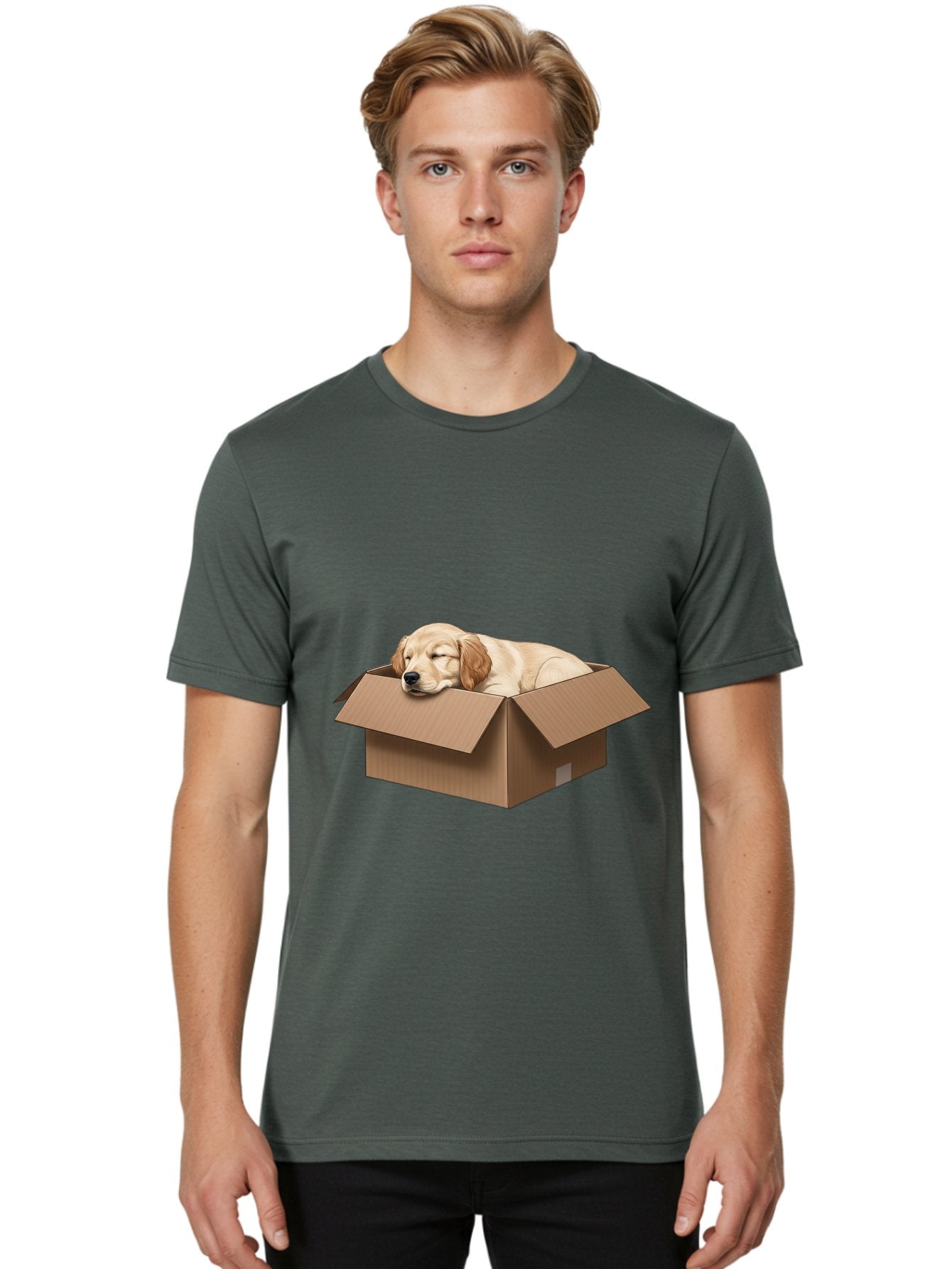 Sleeping-Puppy-1 Men'S Graphic Tee, 100% Cotton, Comfortable Casual Summer Wear, Machine Washable, Sleeping Puppy, Cardboard Box, Adorable Dog, Cute Animal, Resting Pet, Dog In Box, Peaceful Scene, Puppy Love, Cozy Atmosphere, Sweet Dreams Bac417 28