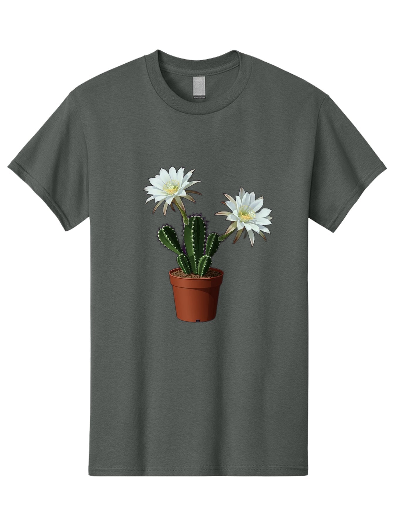 Cactus-Flowers-1 Men'S Graphic Tee, 100% Cotton, Comfortable Casual Summer Wear, Machine Washable, White Cactus Flowers, Cactus In Terracotta Pot, Desert Flora, Succulent Plants, Flowering Cacti, Indoor Plants, Potted Cactus, Blooming Cactus Bac738
