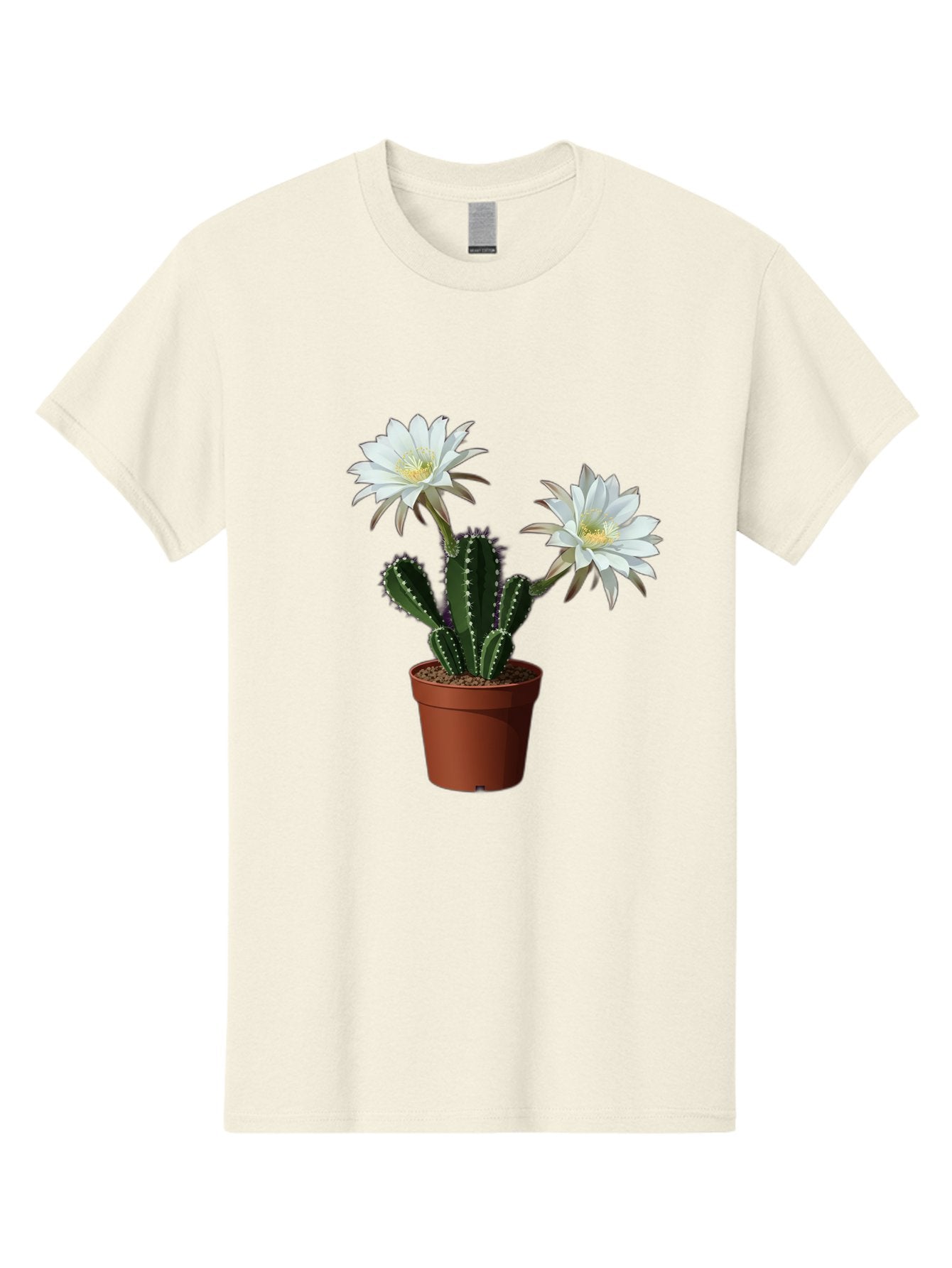 Cactus-Flowers-1 Men'S Graphic Tee, 100% Cotton, Comfortable Casual Summer Wear, Machine Washable, White Cactus Flowers, Cactus In Terracotta Pot, Desert Flora, Succulent Plants, Flowering Cacti, Indoor Plants, Potted Cactus, Blooming Cactus Bac738 3