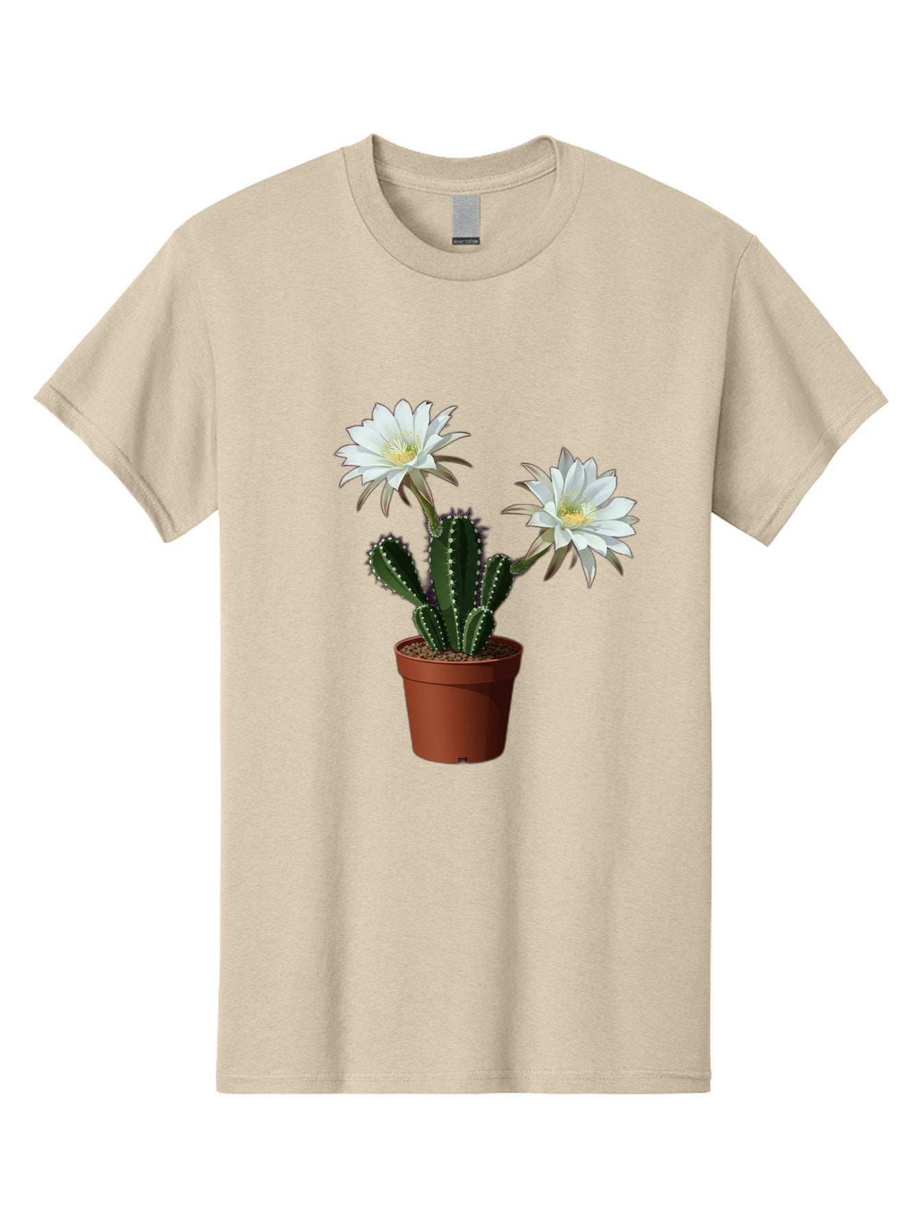 Cactus-Flowers-1 Men'S Graphic Tee, 100% Cotton, Comfortable Casual Summer Wear, Machine Washable, White Cactus Flowers, Cactus In Terracotta Pot, Desert Flora, Succulent Plants, Flowering Cacti, Indoor Plants, Potted Cactus, Blooming Cactus Bac738 6