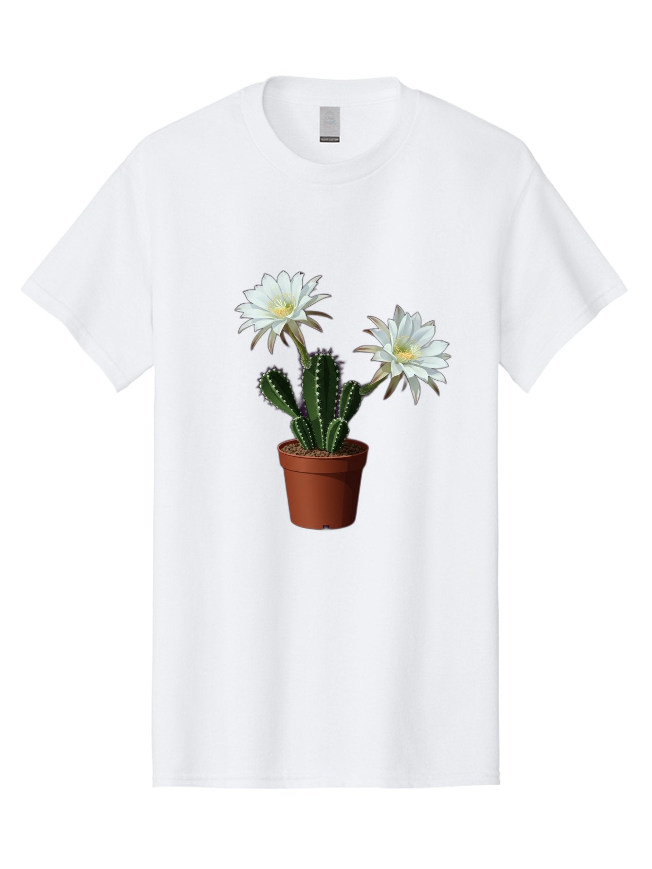Cactus-Flowers-1 Men'S Graphic Tee, 100% Cotton, Comfortable Casual Summer Wear, Machine Washable, White Cactus Flowers, Cactus In Terracotta Pot, Desert Flora, Succulent Plants, Flowering Cacti, Indoor Plants, Potted Cactus, Blooming Cactus Bac738 7