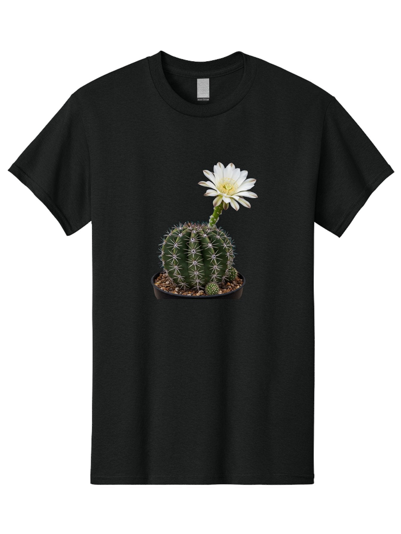 Cactus-With-White-Flower Men'S Graphic Tee, 100% Cotton, Comfortable Casual Summer Wear, Machine Washable, Cactus Plant, White Flower, Yellow Center, Spiky Texture, Potted Cactus, Succulent Bloom, Desert Flora, Floral Beauty, Cactus Flower, Bac769 14